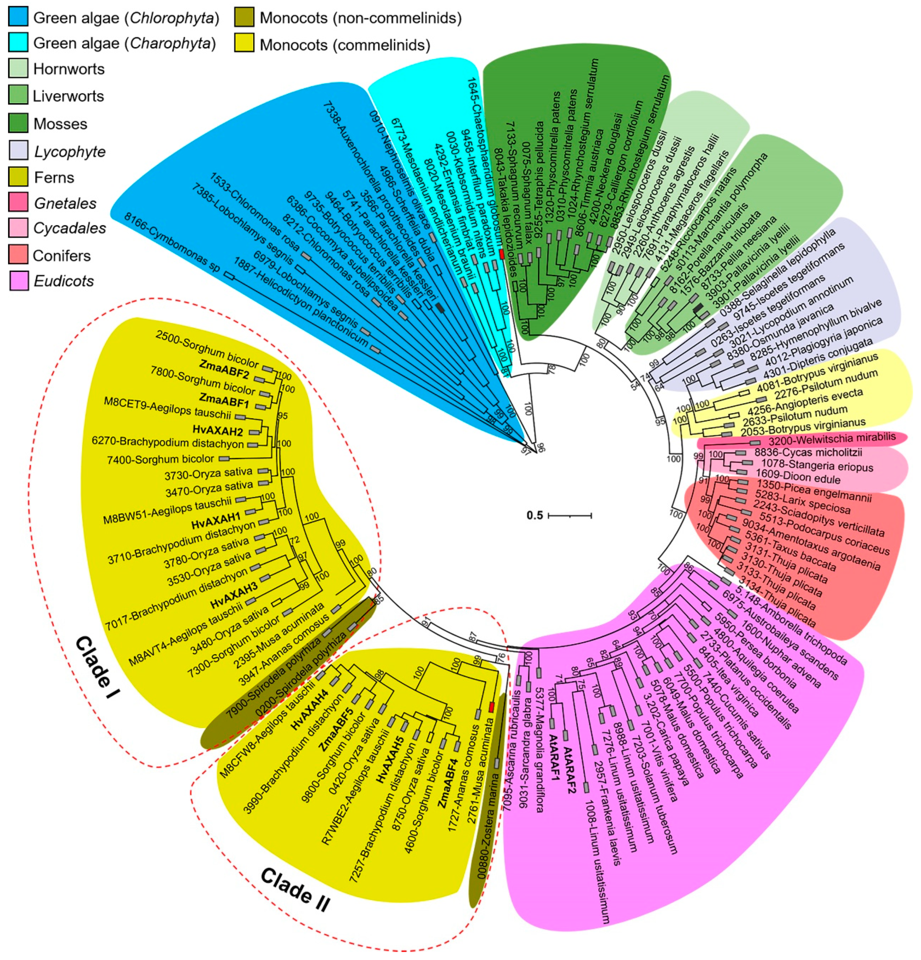 Life 13 00266 g003 Life 13 00266 g003