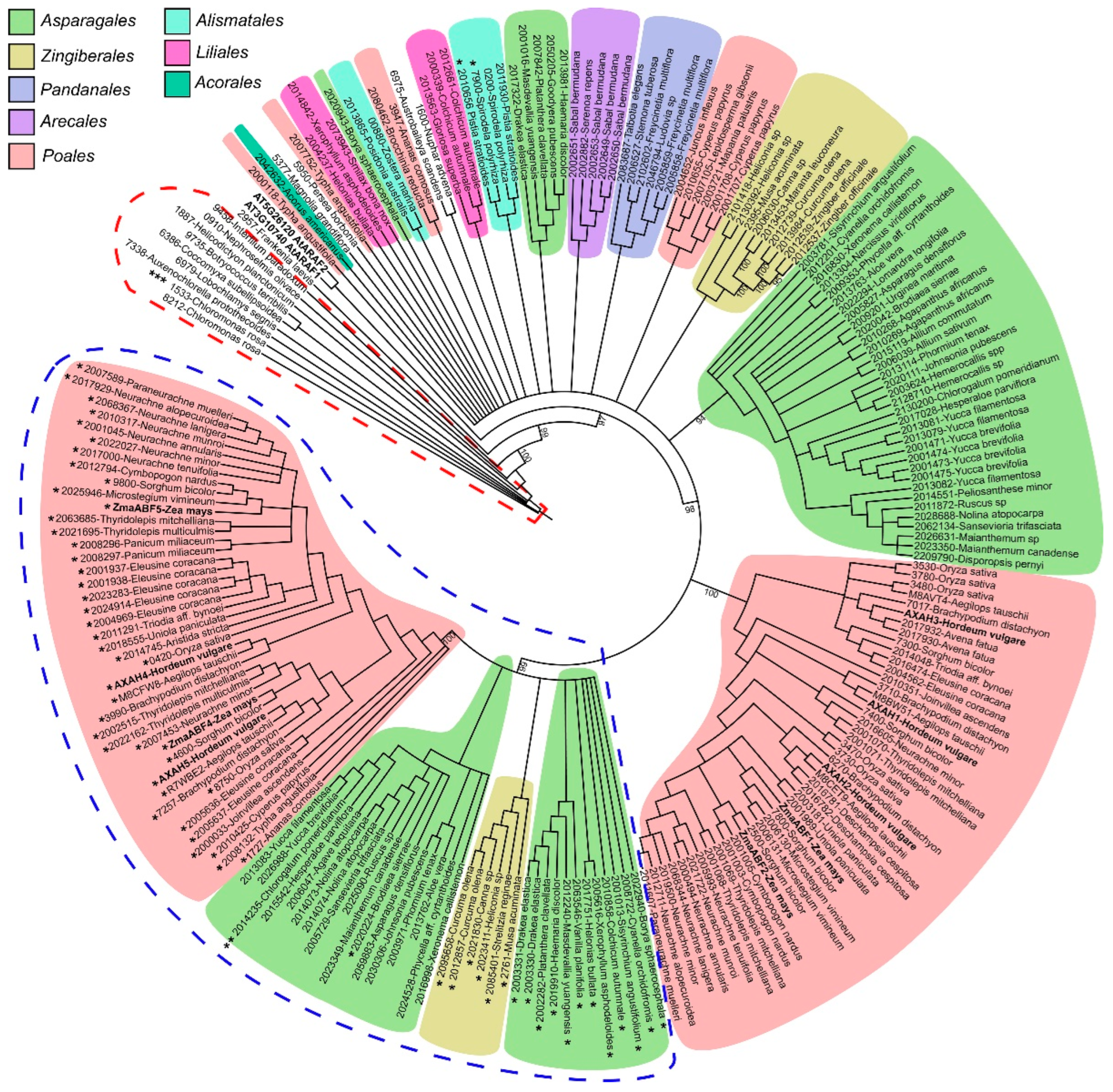 Life 13 00266 g004 Life 13 00266 g004