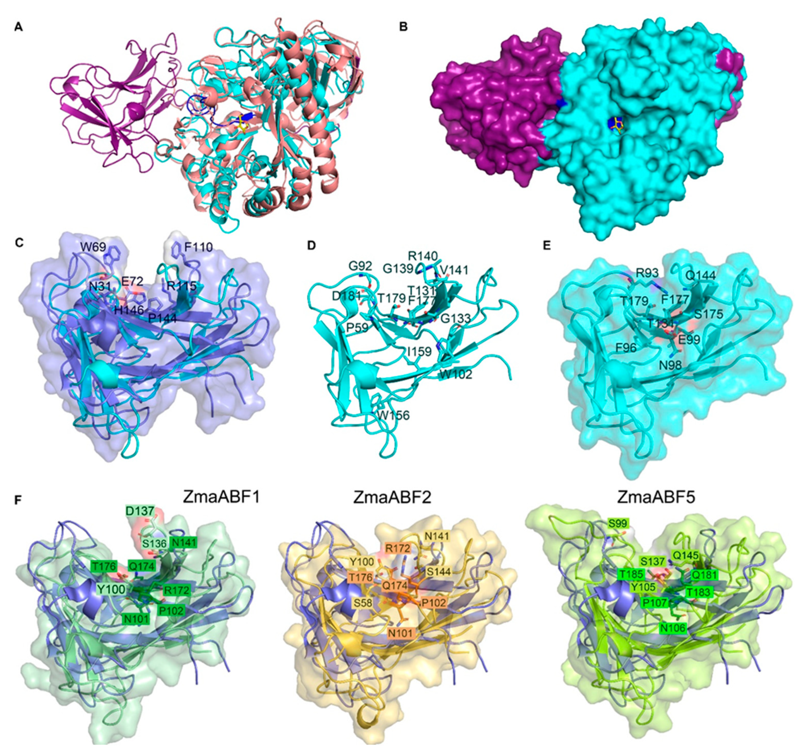 Life 13 00266 g005 Life 13 00266 g005