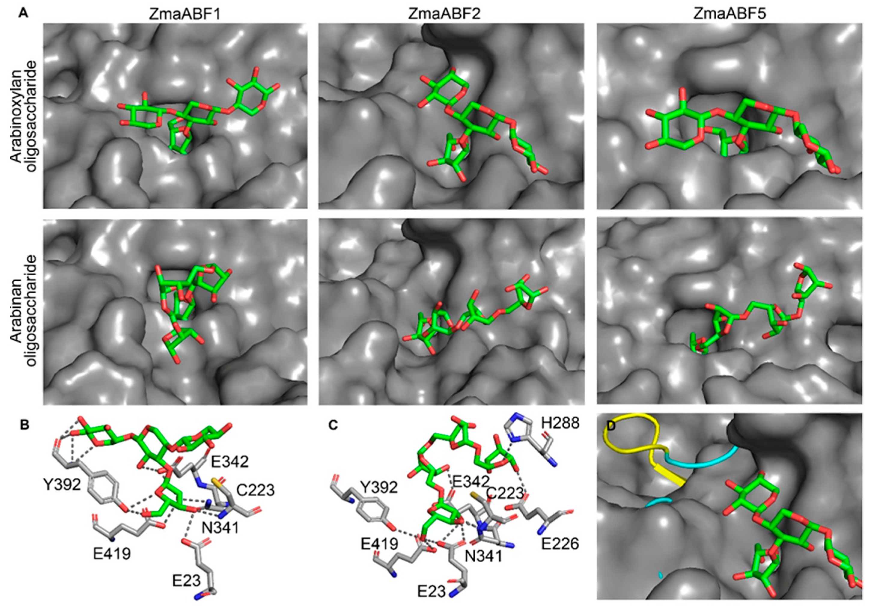 Life 13 00266 g006 Life 13 00266 g006