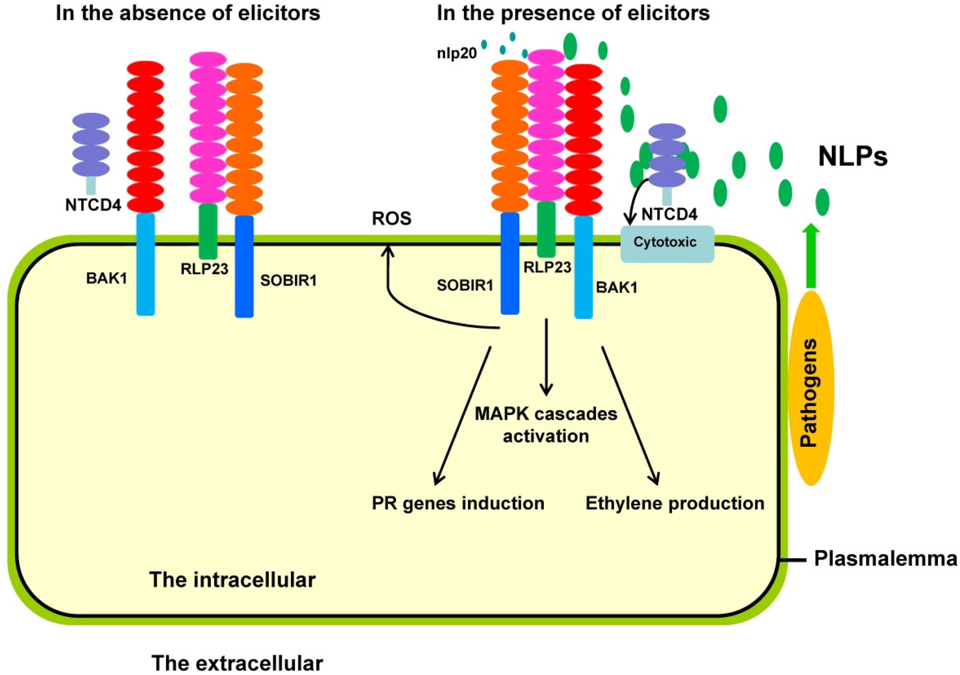 Life Free FullText Characteristics, Roles and Applications of