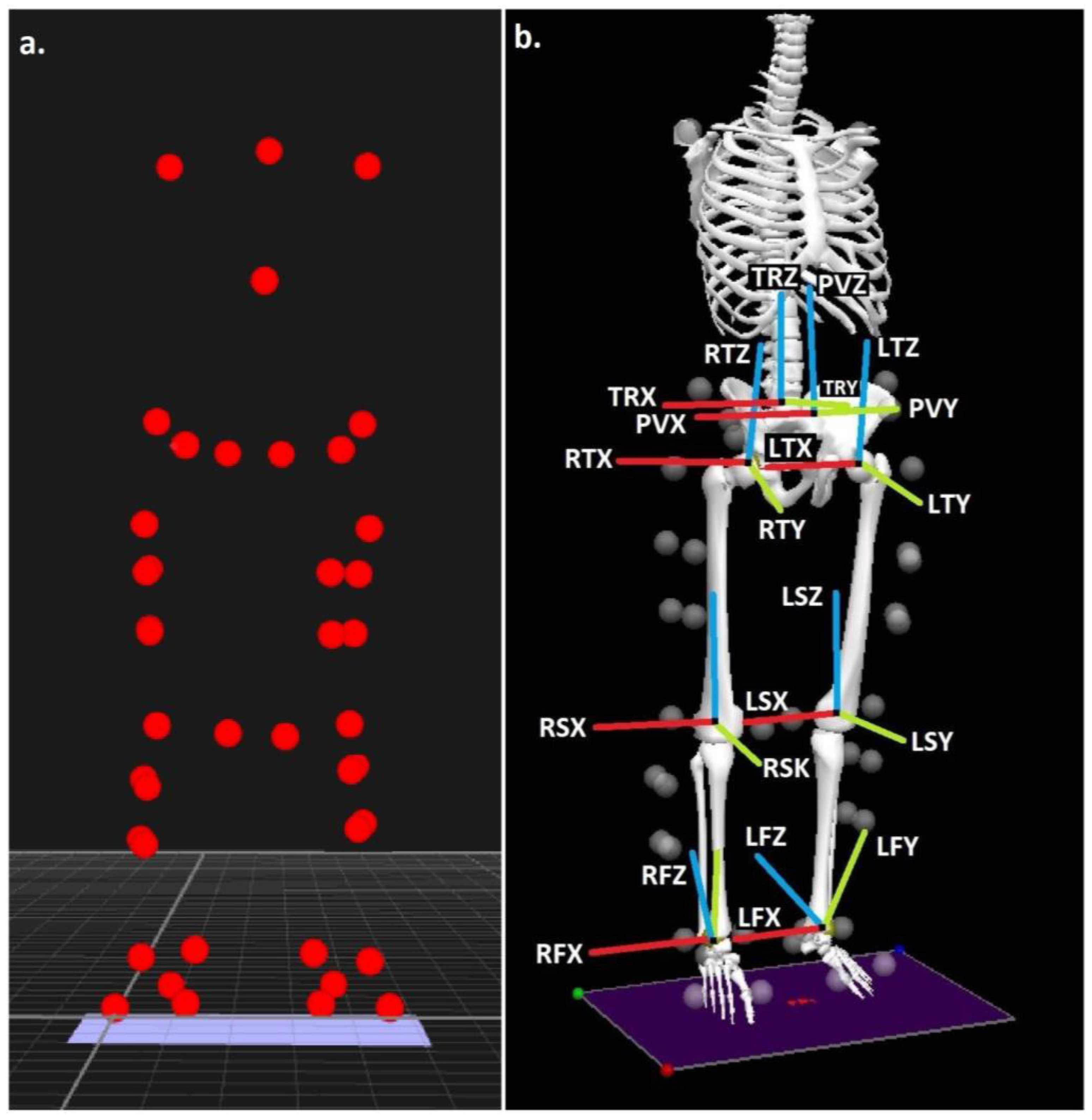 Life 13 00270 g001 Life 13 00270 g001