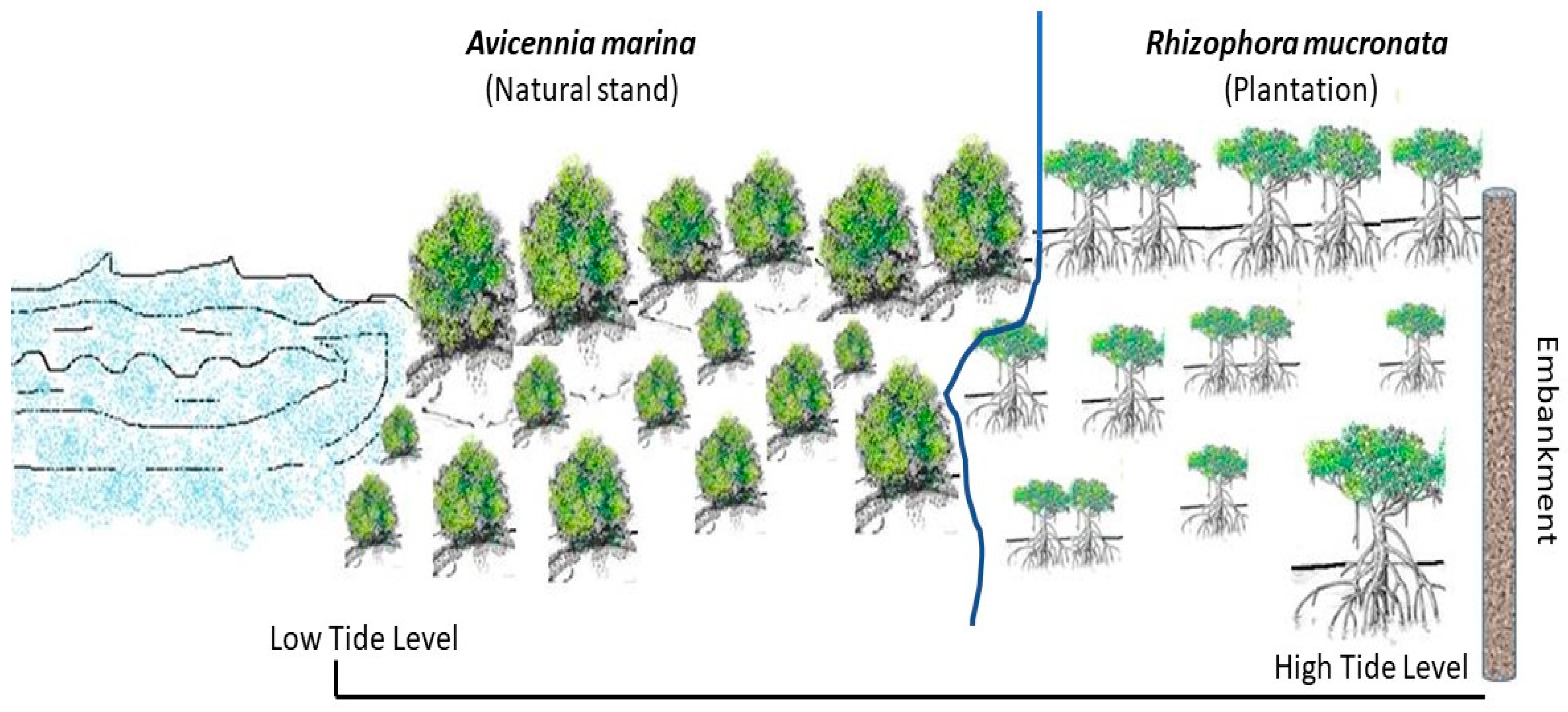 Life 13 00271 g002 Life 13 00271 g002