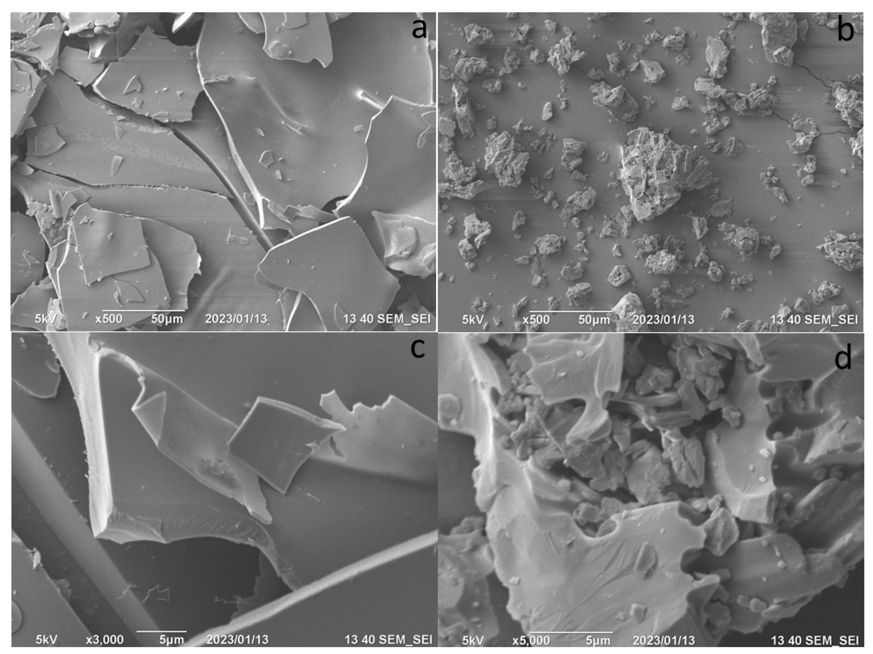 Life 13 00272 g003 Life 13 00272 g003