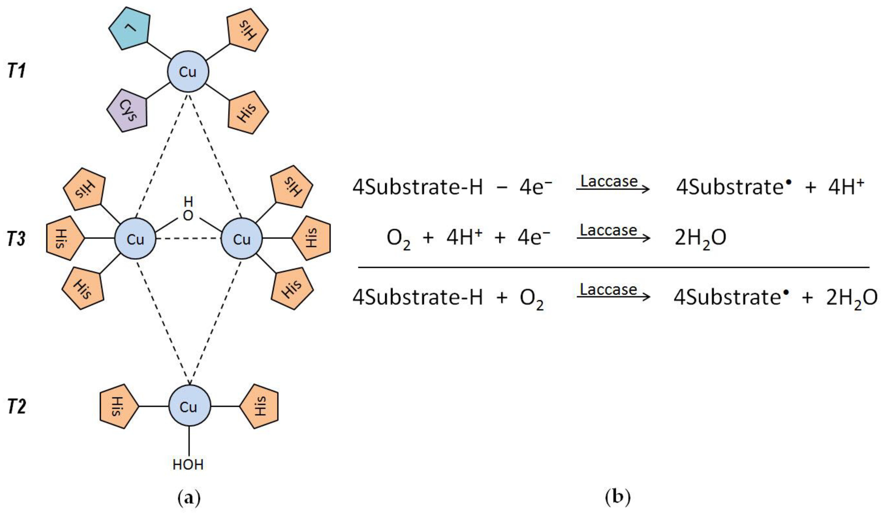 Life 13 00291 g002 Life 13 00291 g002