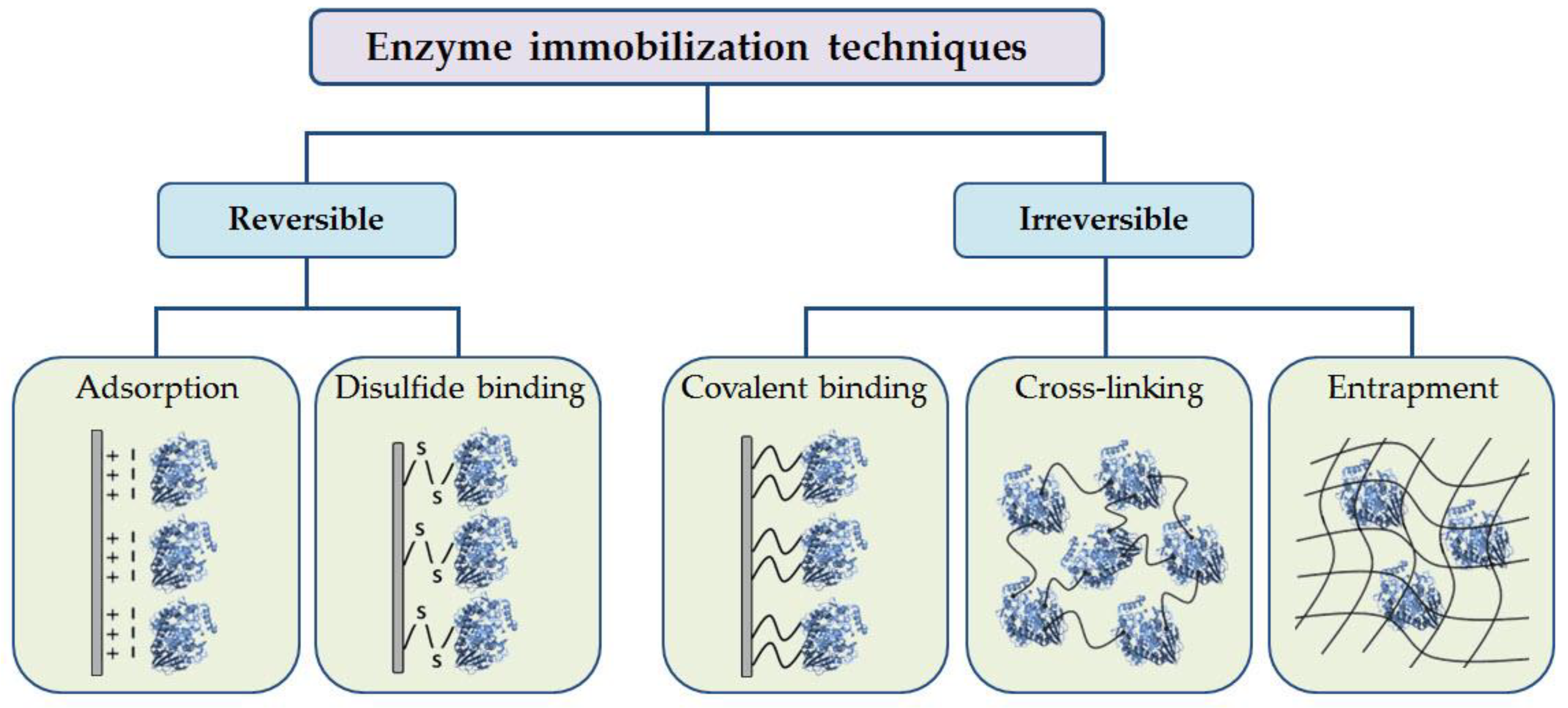 Life 13 00291 g004 Life 13 00291 g004