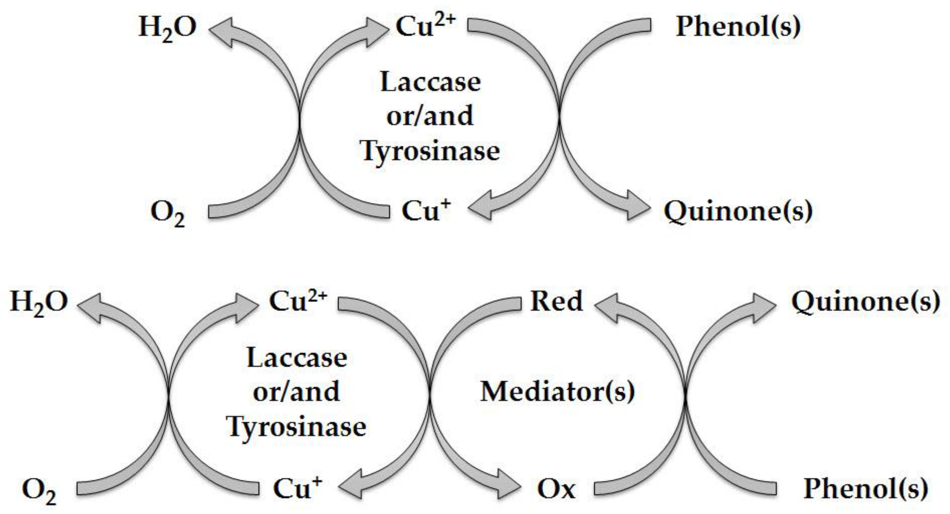 Life 13 00291 g006 Life 13 00291 g006