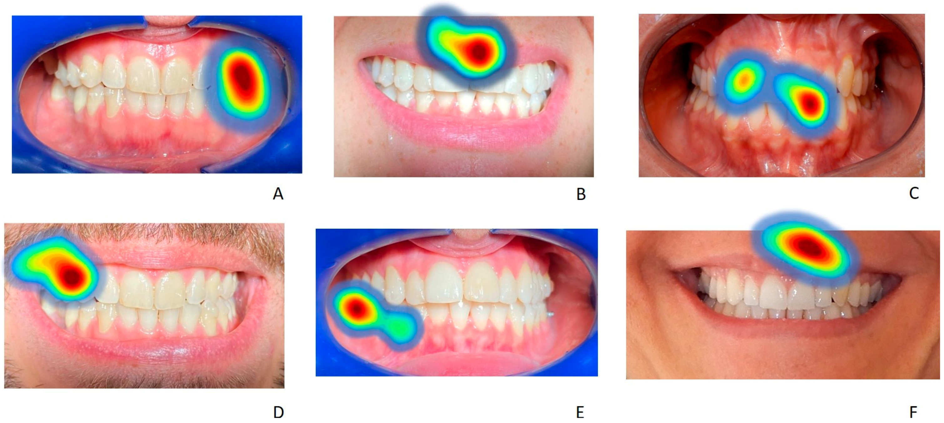 Life 13 00297 g015 Life 13 00297 g015