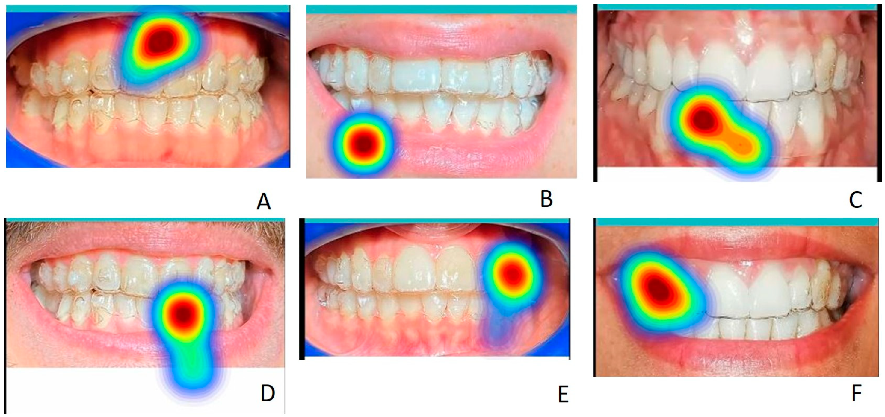 Life 13 00297 g016 Life 13 00297 g016