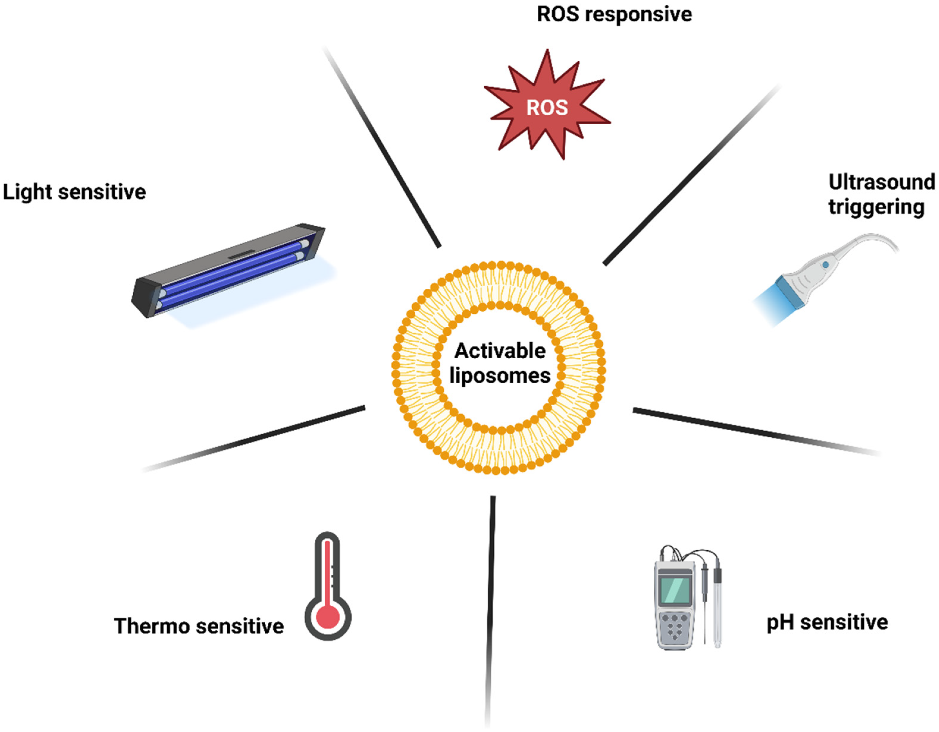 Life 13 00305 g005 Life 13 00305 g005