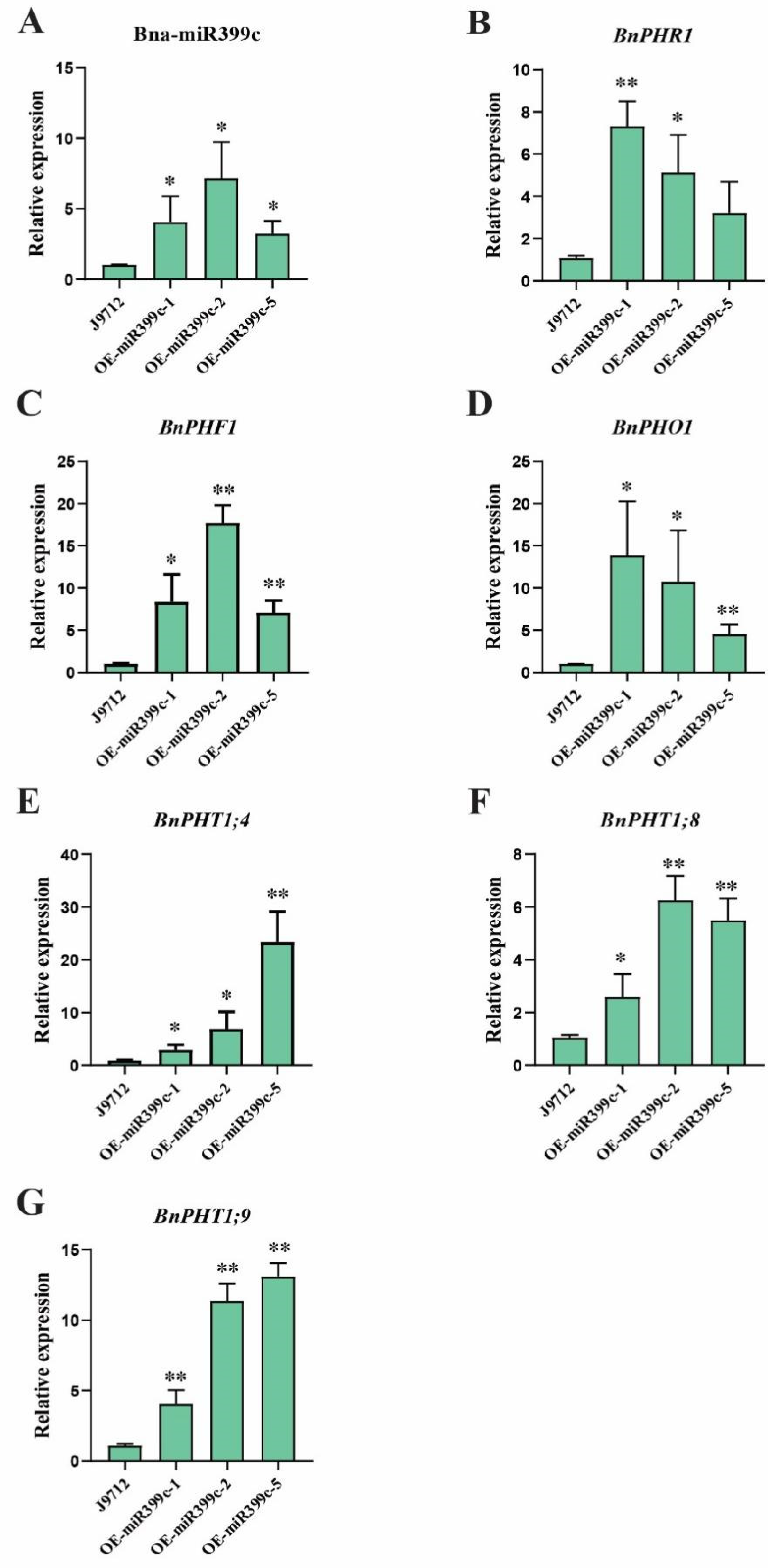 Life 13 00310 g004 Life 13 00310 g004