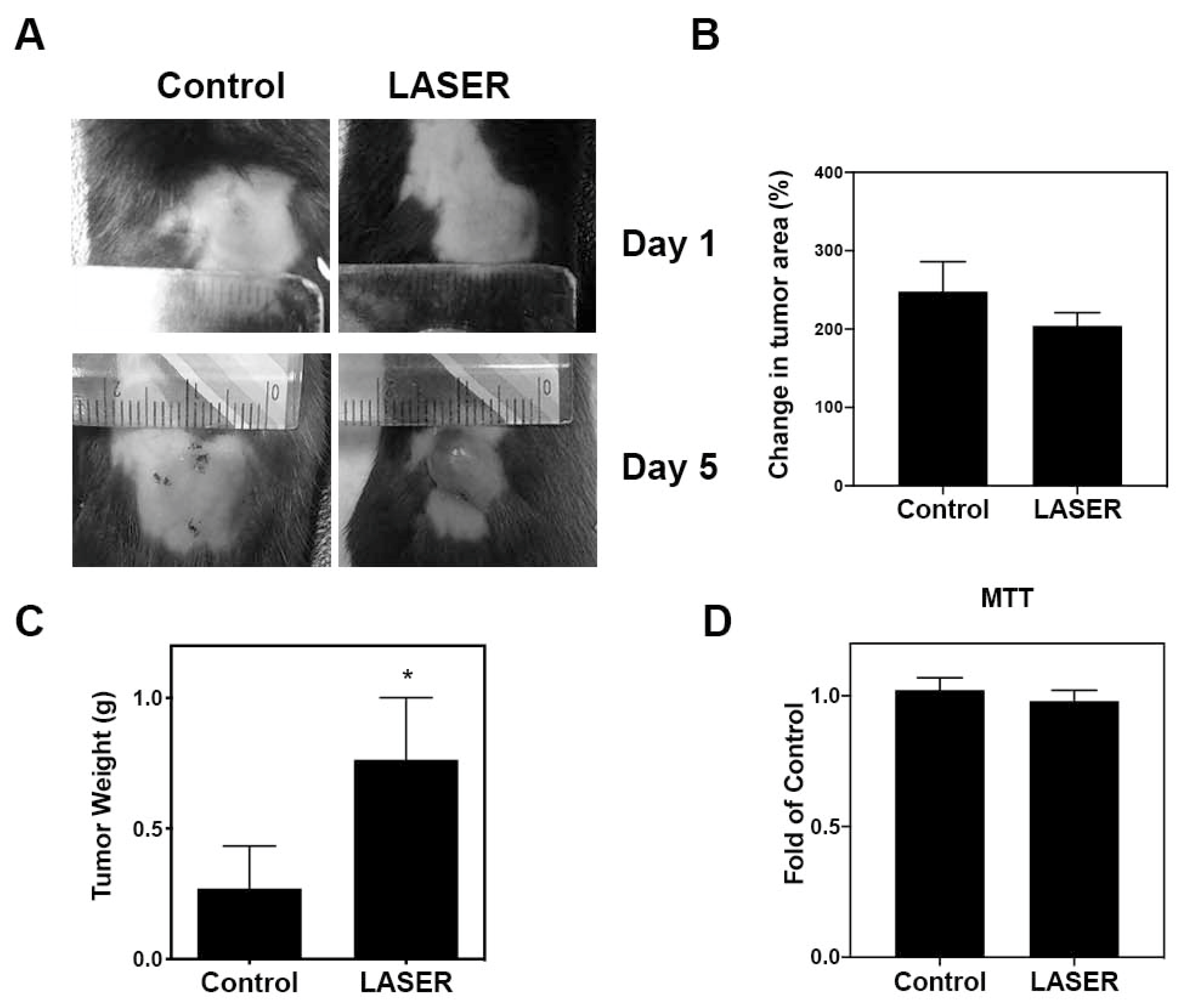 Life 13 00320 g001 Life 13 00320 g001