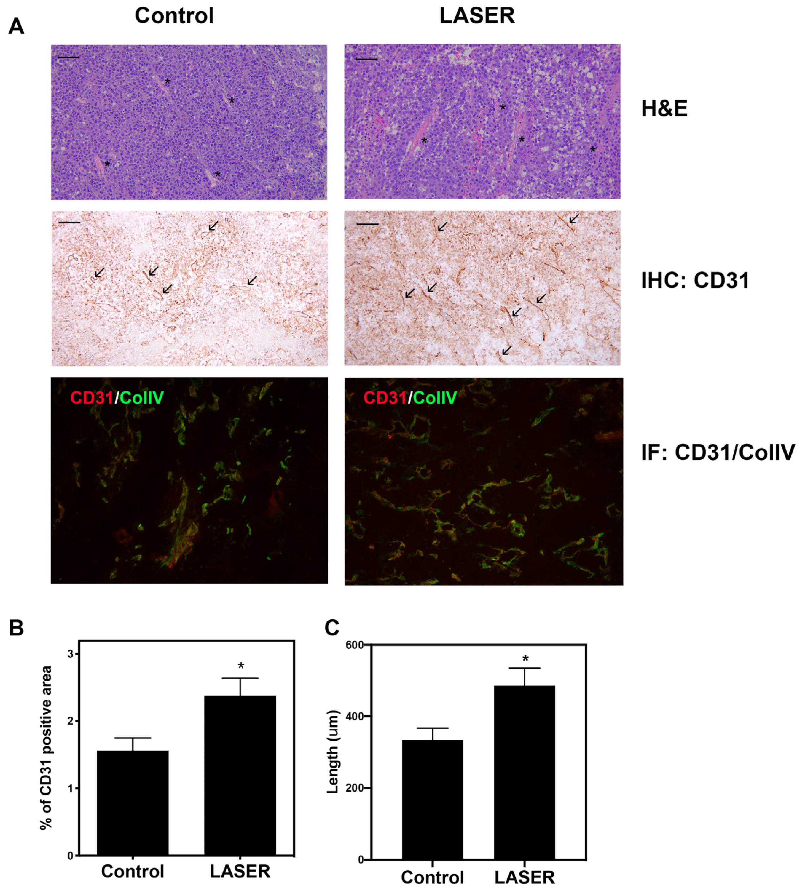 Life 13 00320 g002 Life 13 00320 g002
