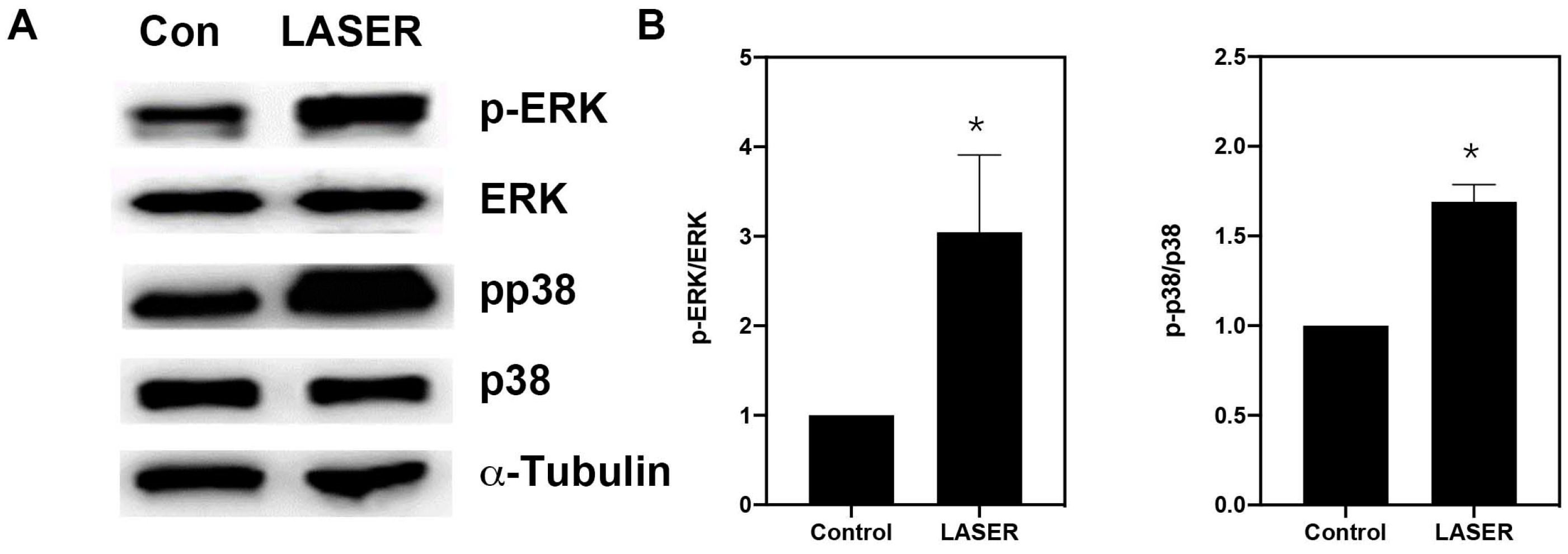 Life 13 00320 g004a Life 13 00320 g004a