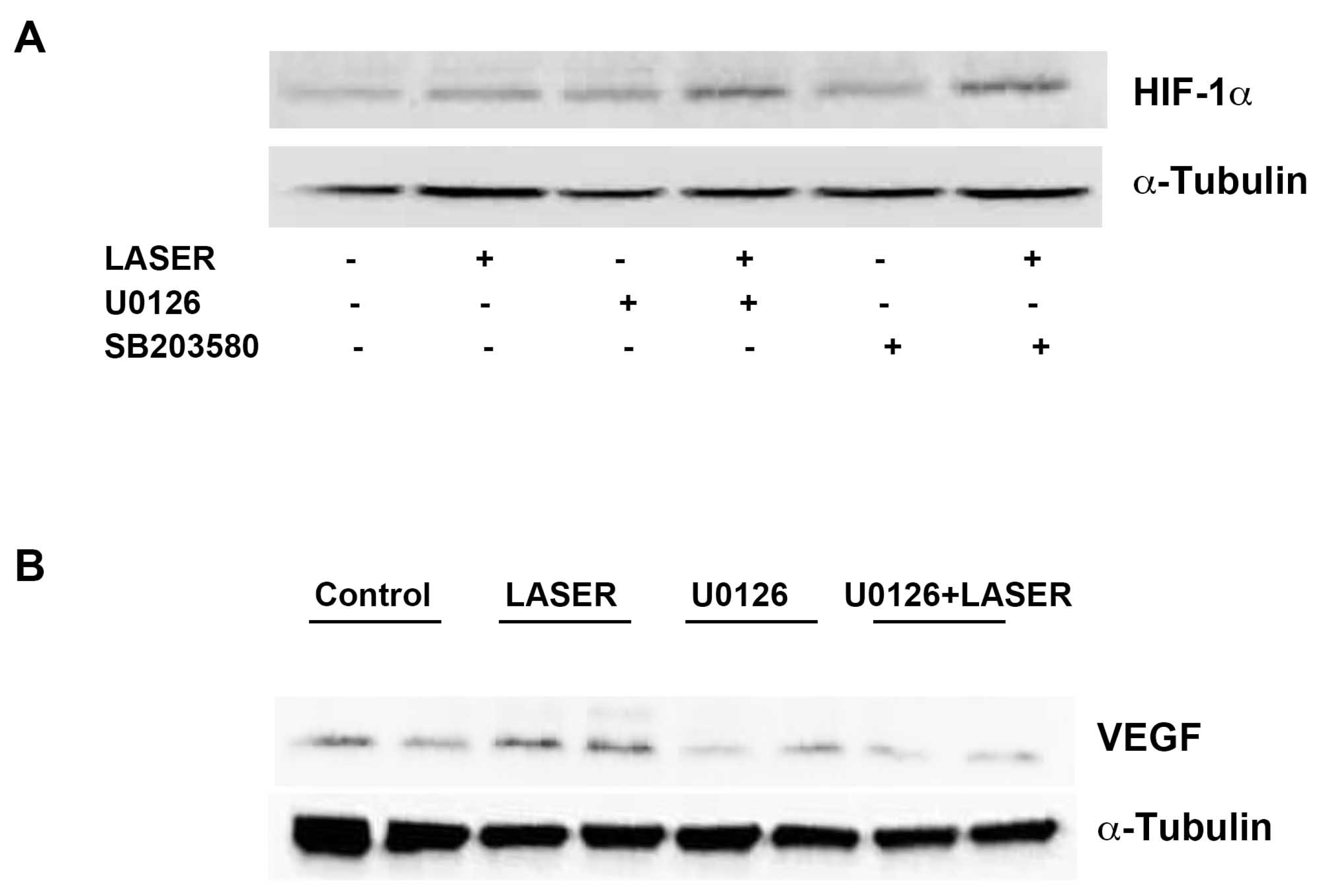 Life 13 00320 g005 Life 13 00320 g005