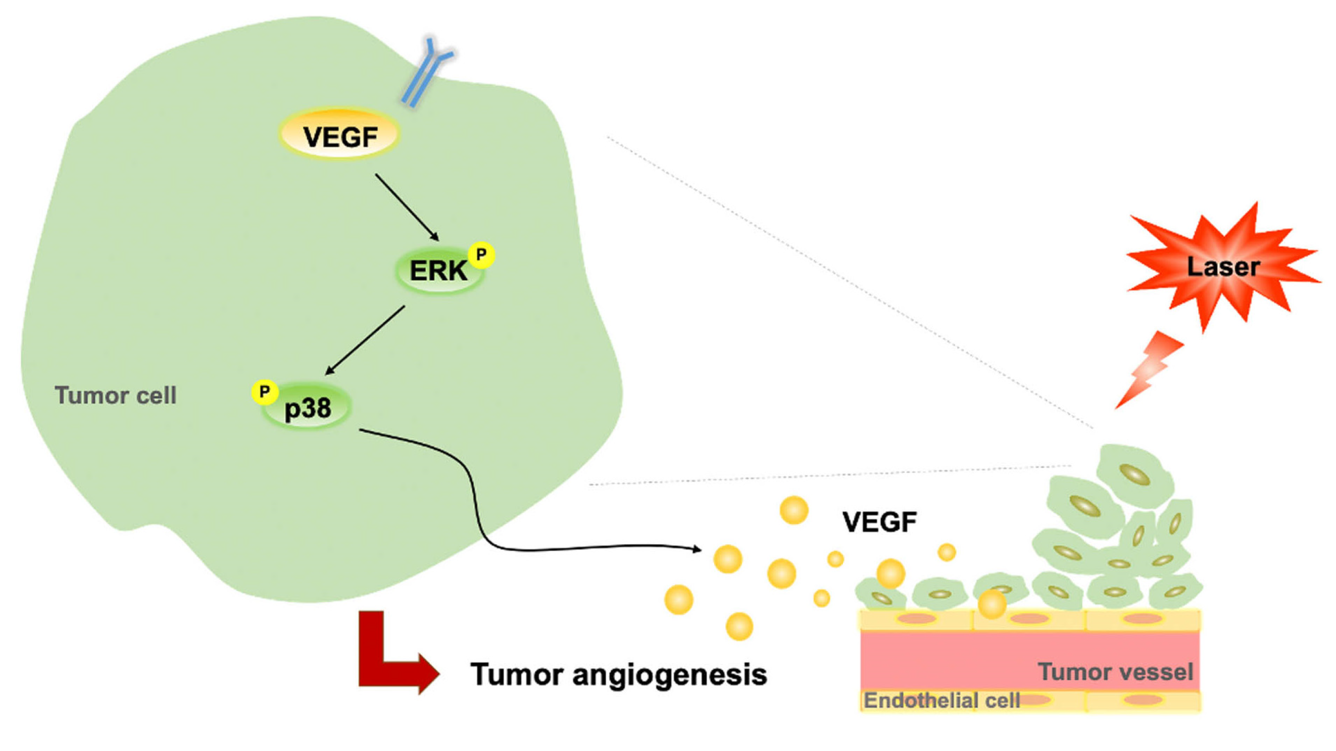 Life 13 00320 g006 Life 13 00320 g006
