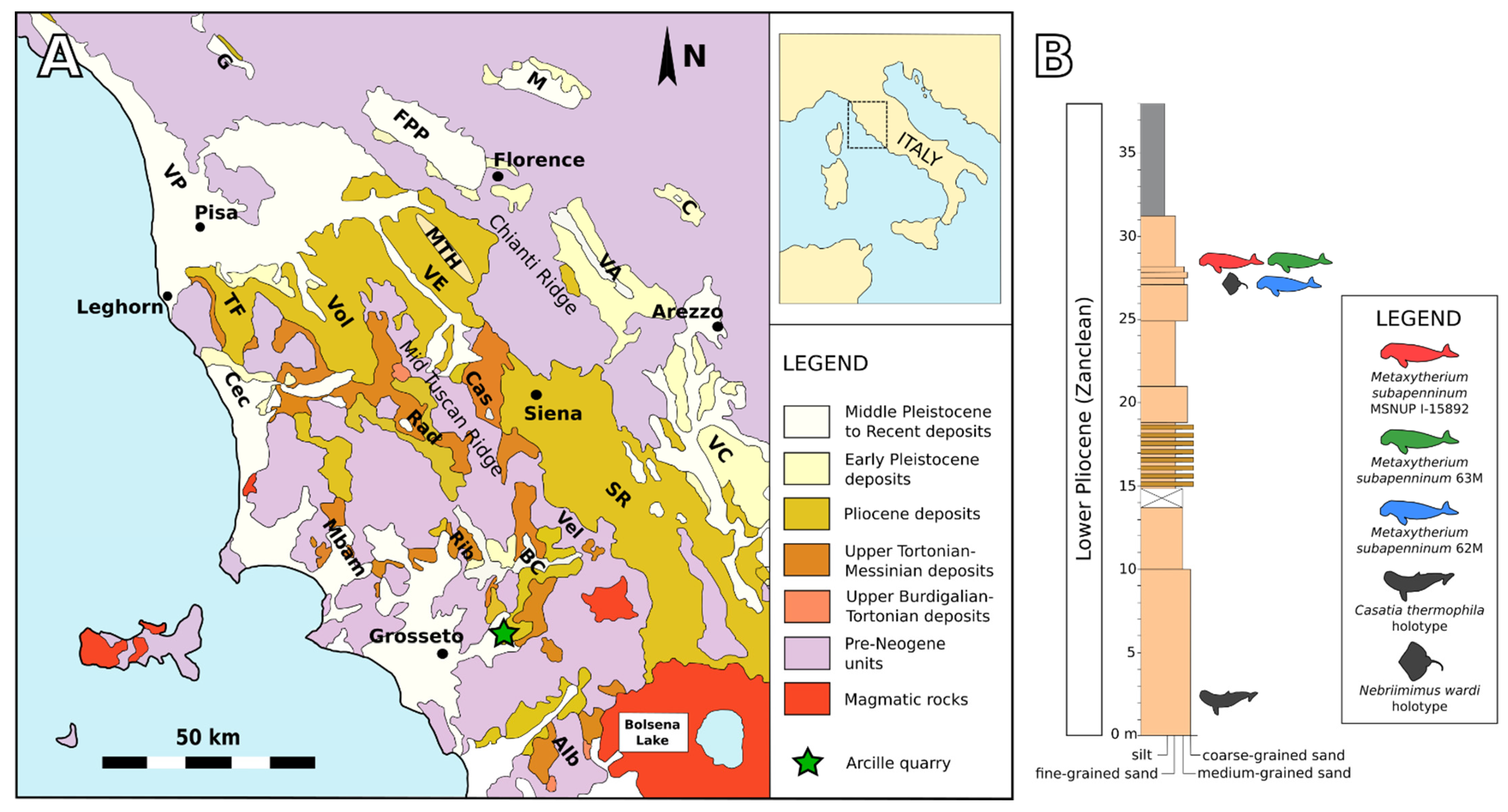 Life 13 00327 g001 Life 13 00327 g001