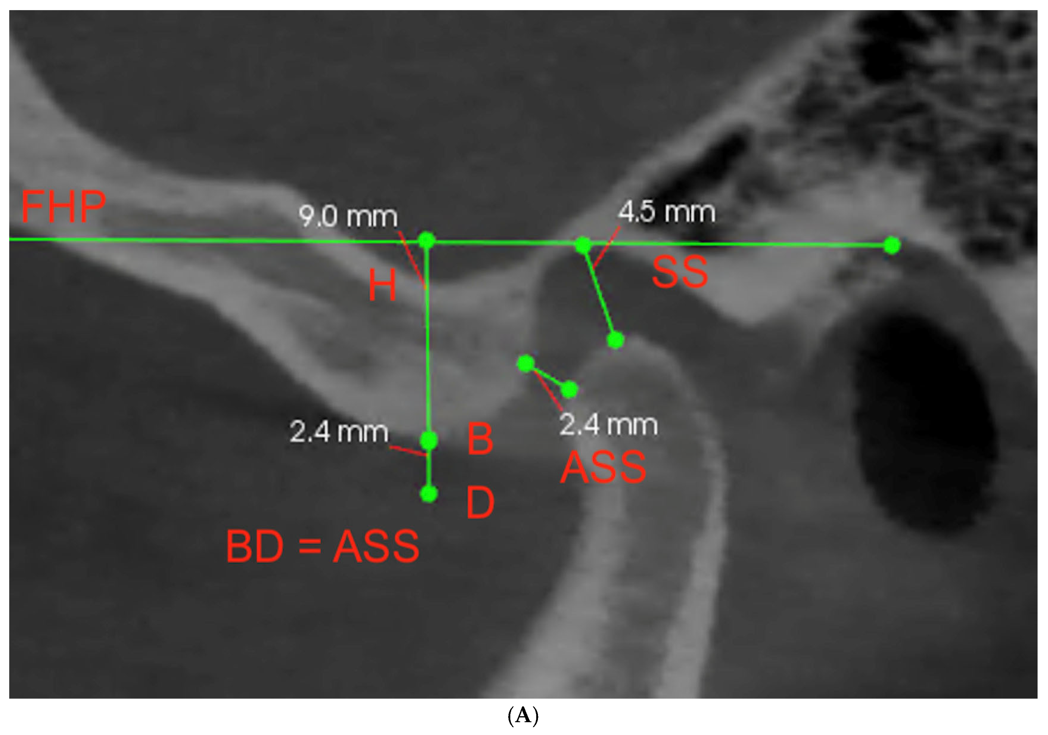 Life 13 00335 g002a Life 13 00335 g002a