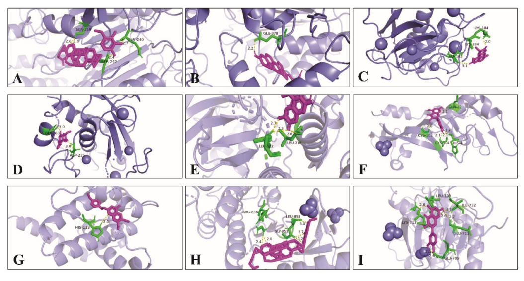 Life 13 00339 g009 Life 13 00339 g009