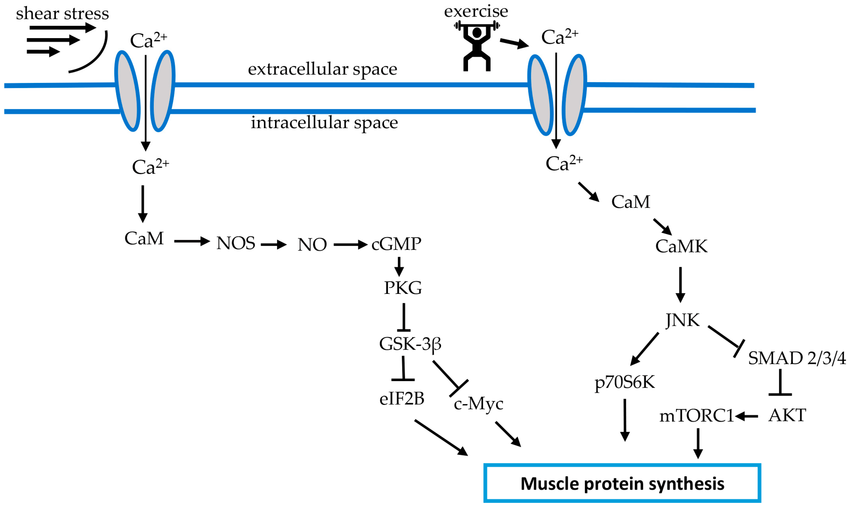 Life 13 00341 g002 Life 13 00341 g002
