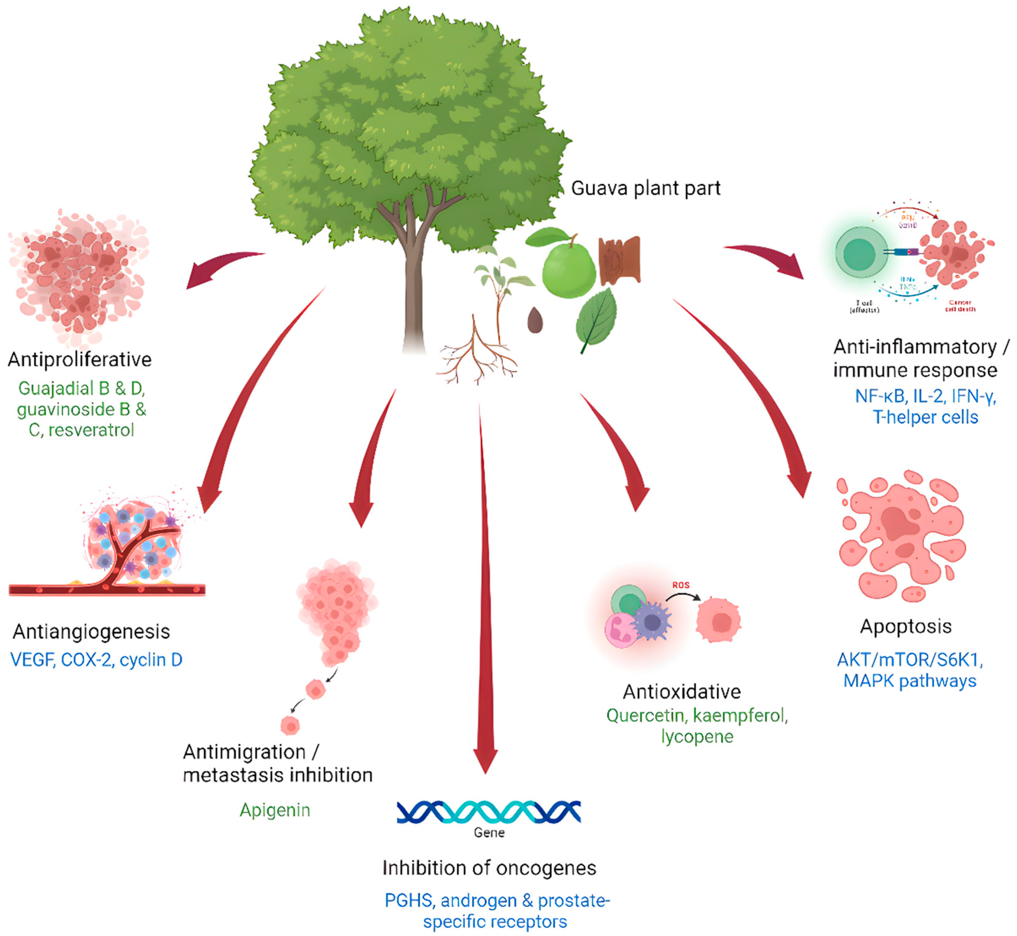 Life 13 00346 g003 Life 13 00346 g003