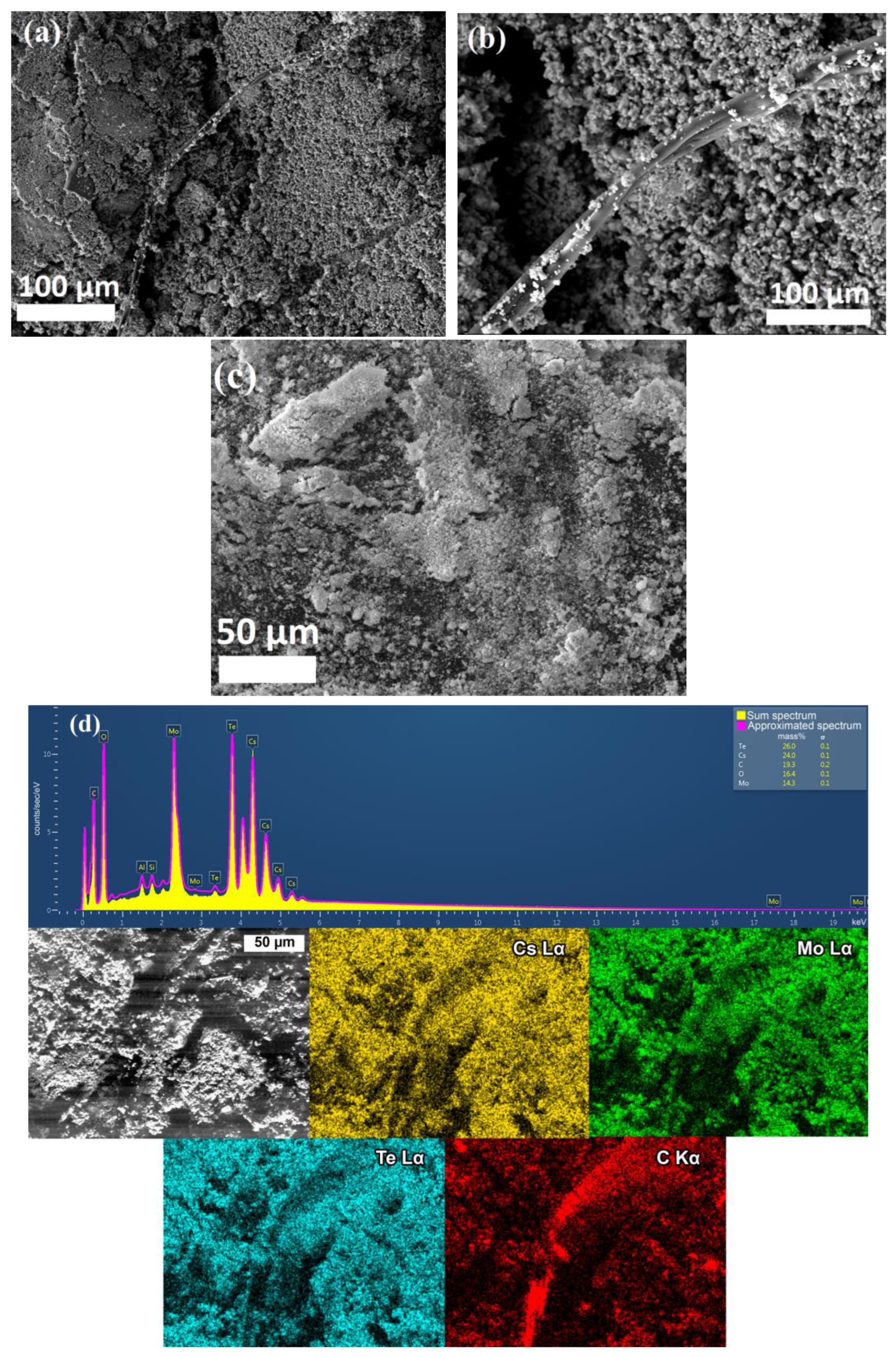 Life 13 00352 g005 Life 13 00352 g005