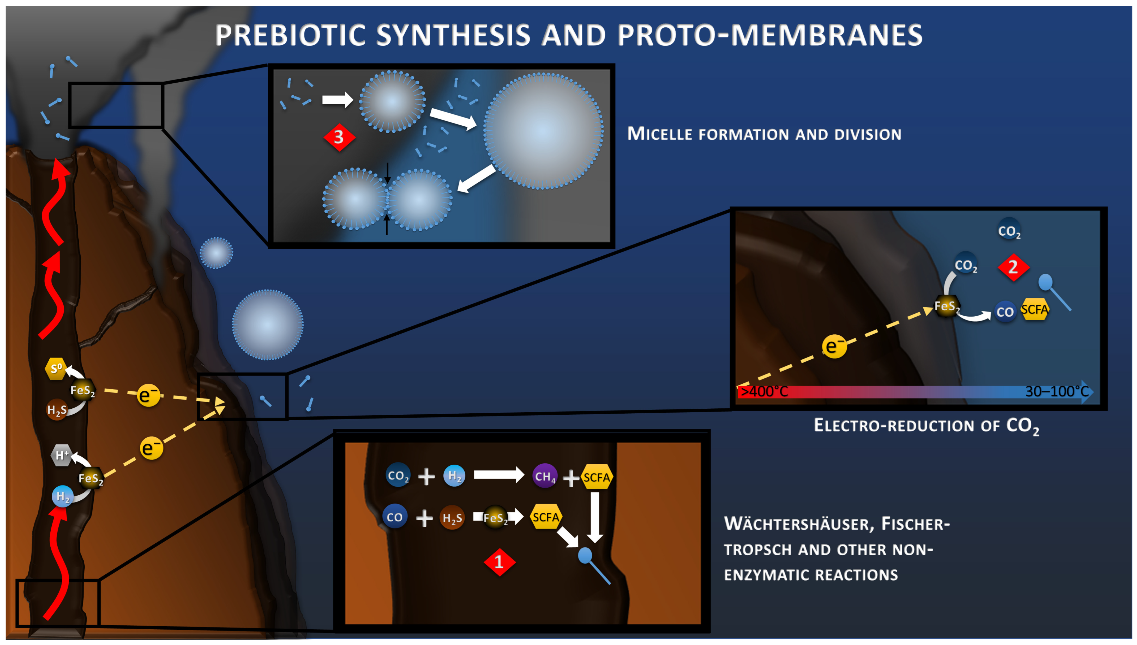 Life 13 00356 g002 Life 13 00356 g002