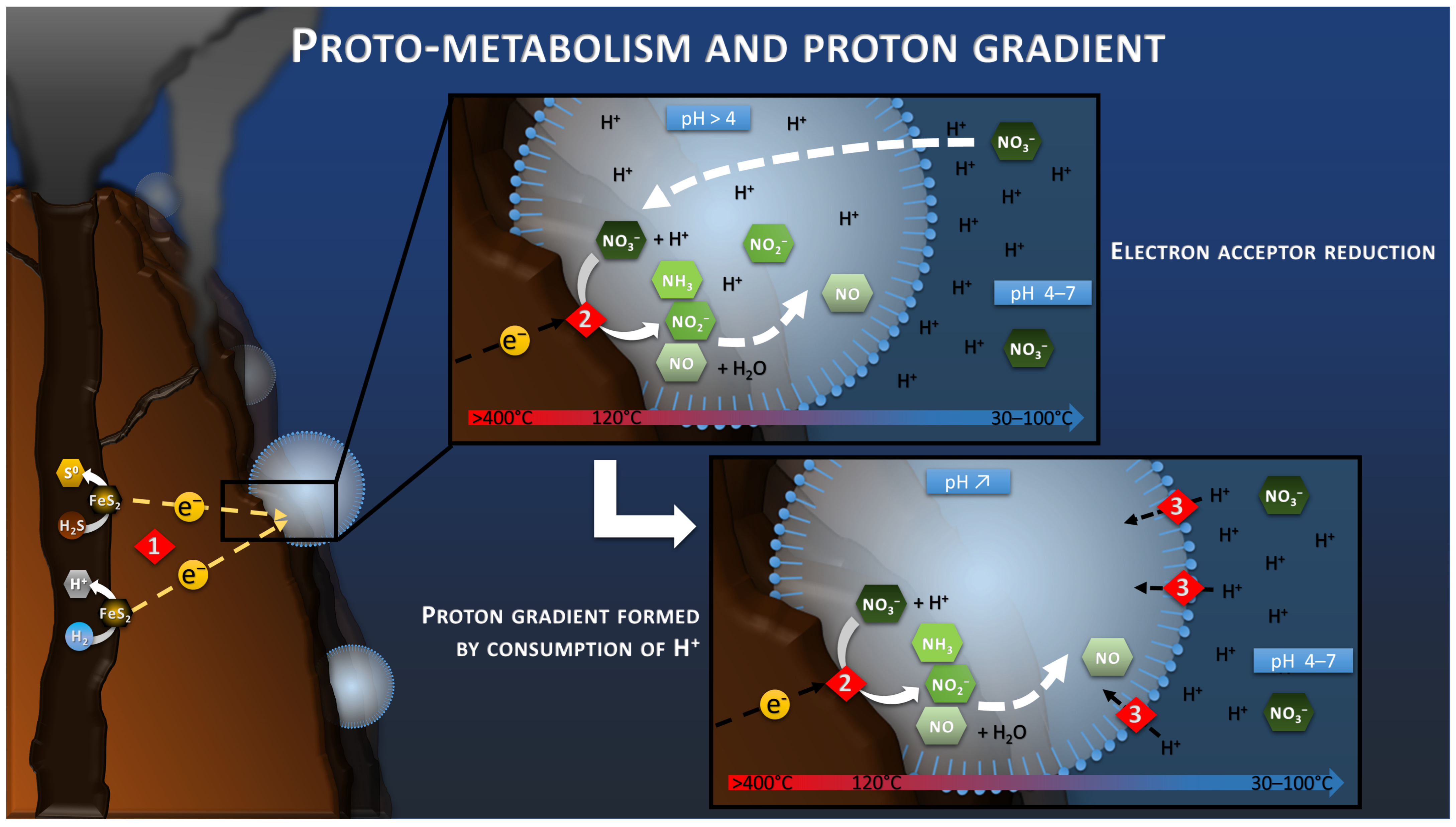 Life 13 00356 g003 Life 13 00356 g003