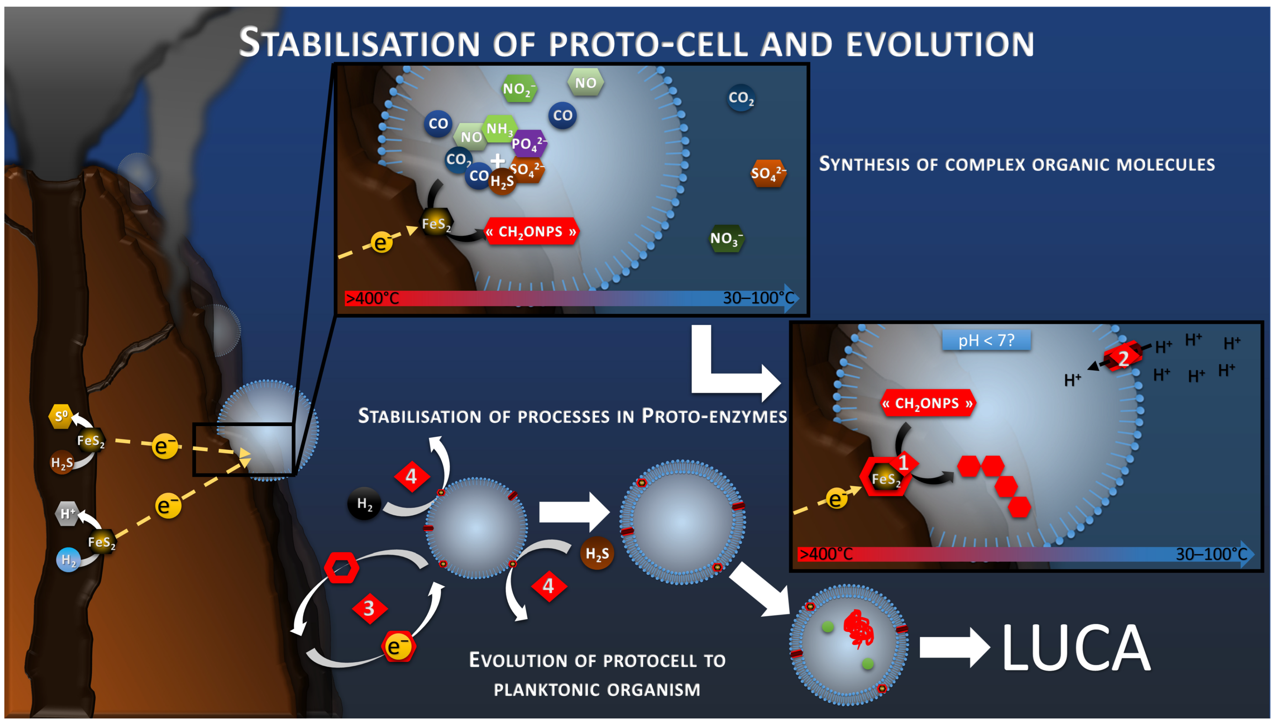 Life 13 00356 g006 Life 13 00356 g006