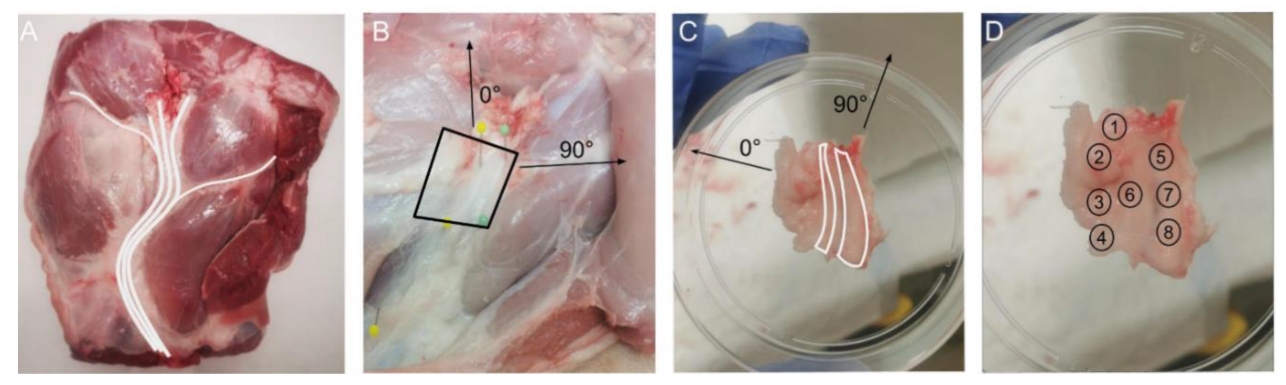 Life 13 00357 g001 Life 13 00357 g001