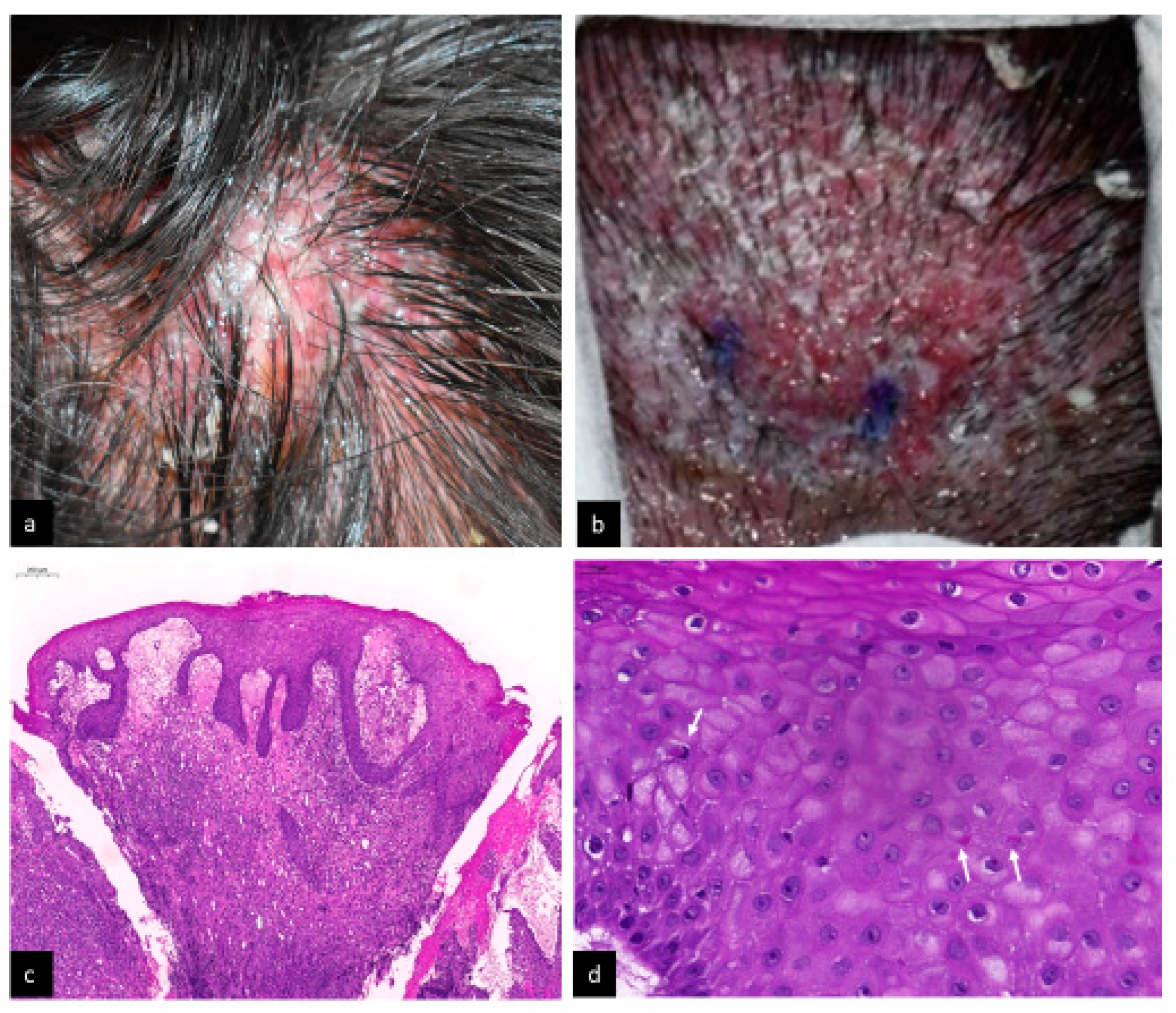 Life 13 00358 g001 Life 13 00358 g001