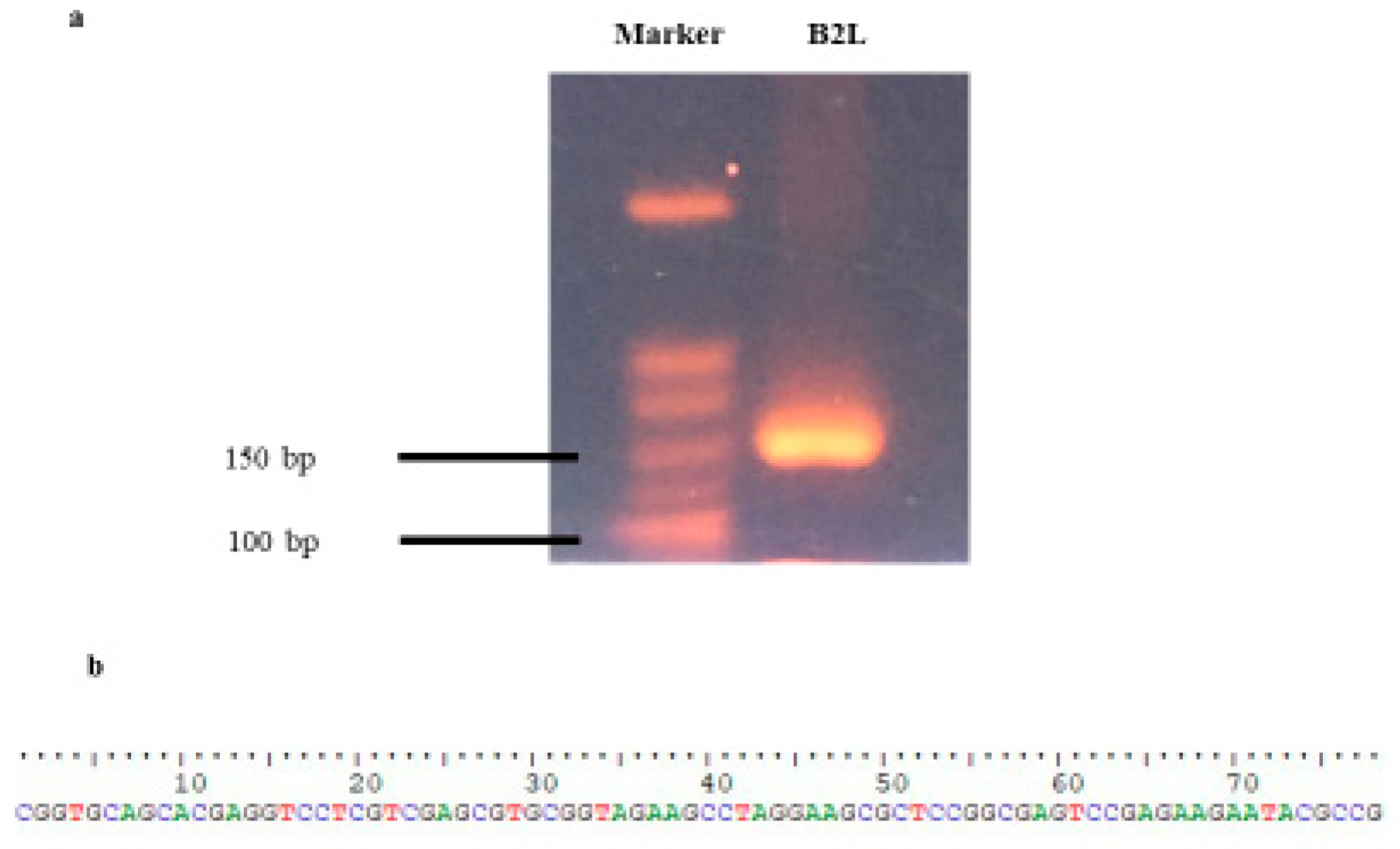 Life 13 00358 g002 Life 13 00358 g002