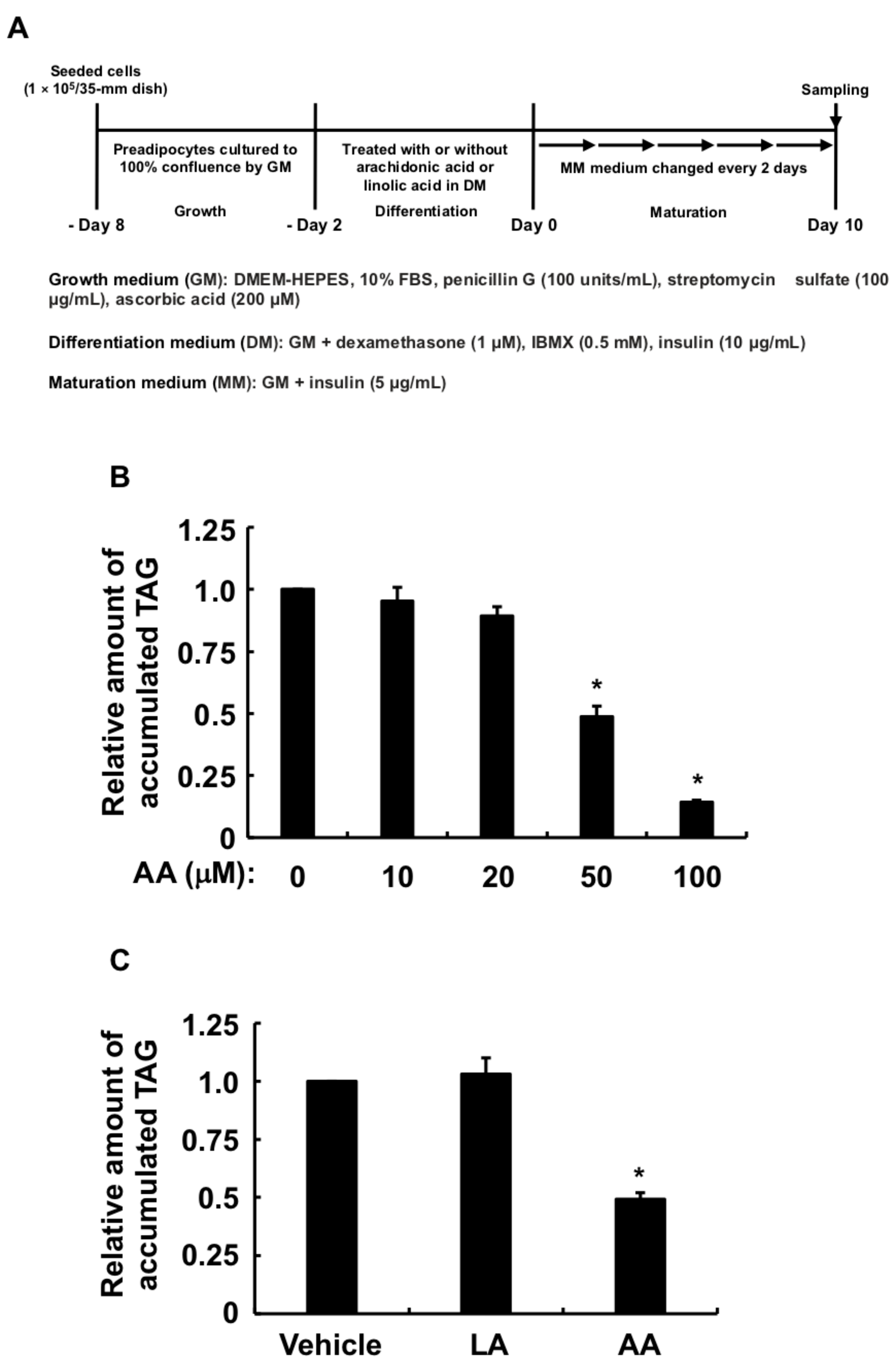 Life 13 00367 g001 Life 13 00367 g001