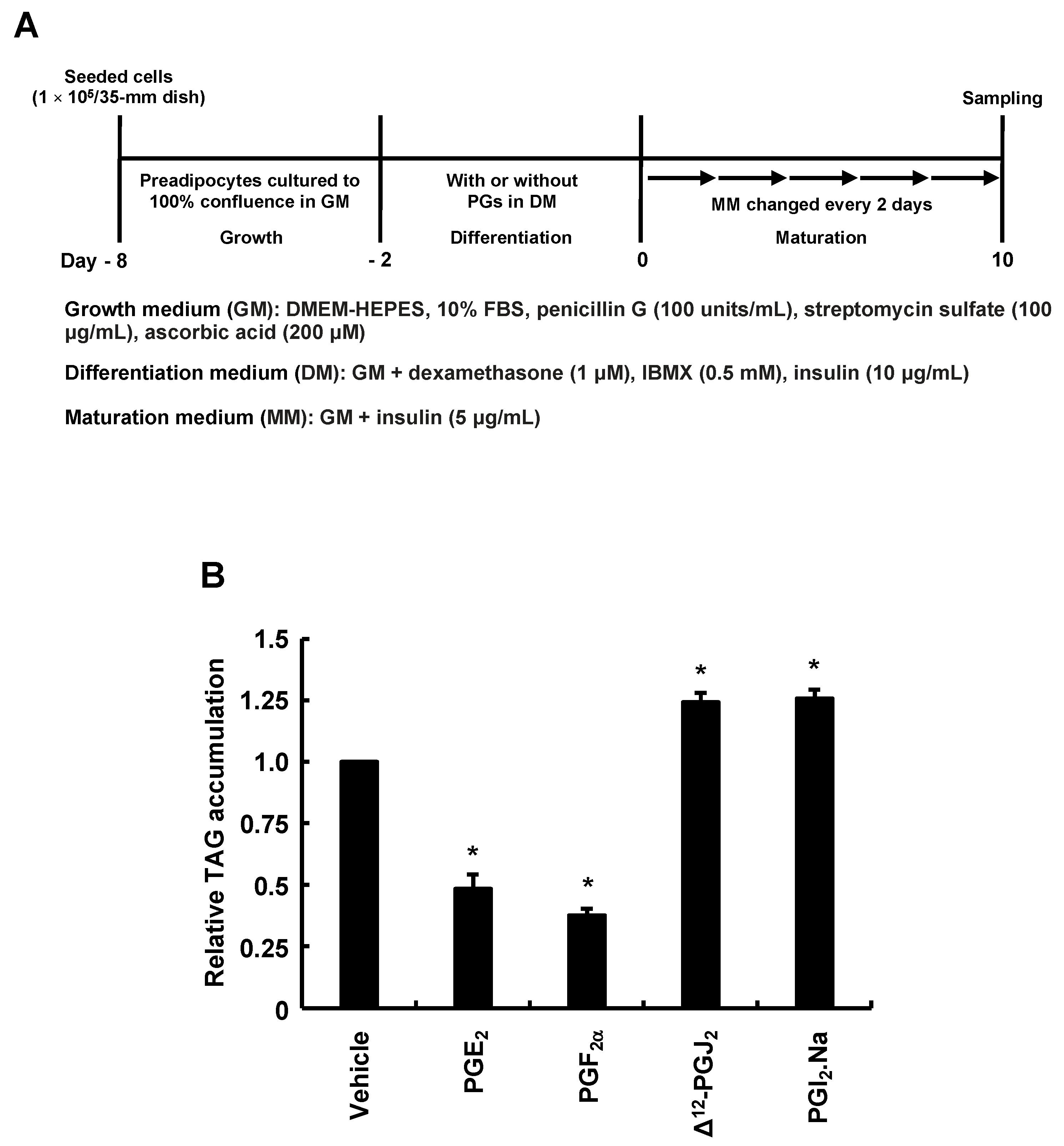 Life 13 00367 g003 Life 13 00367 g003