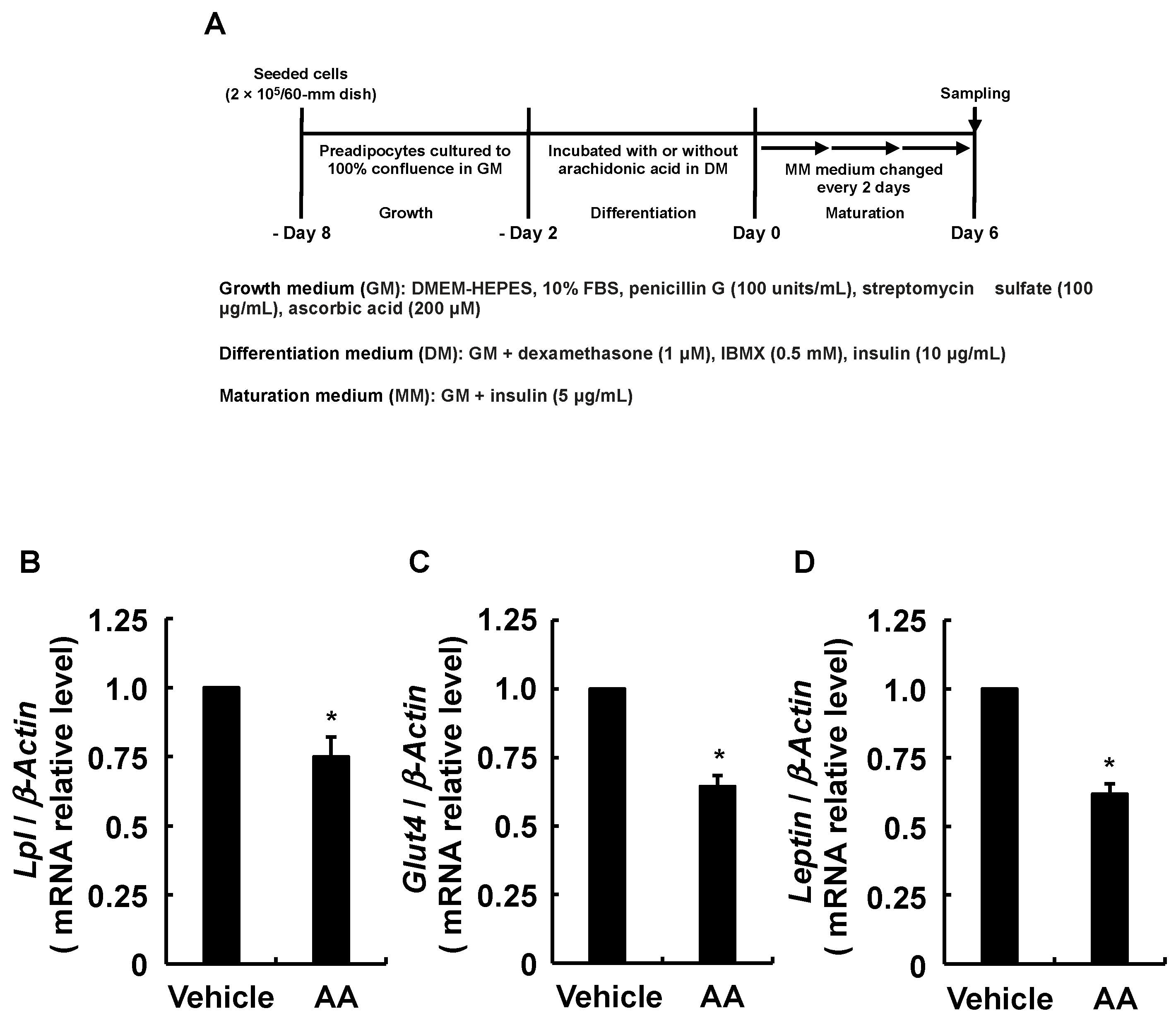 Life 13 00367 g006 Life 13 00367 g006