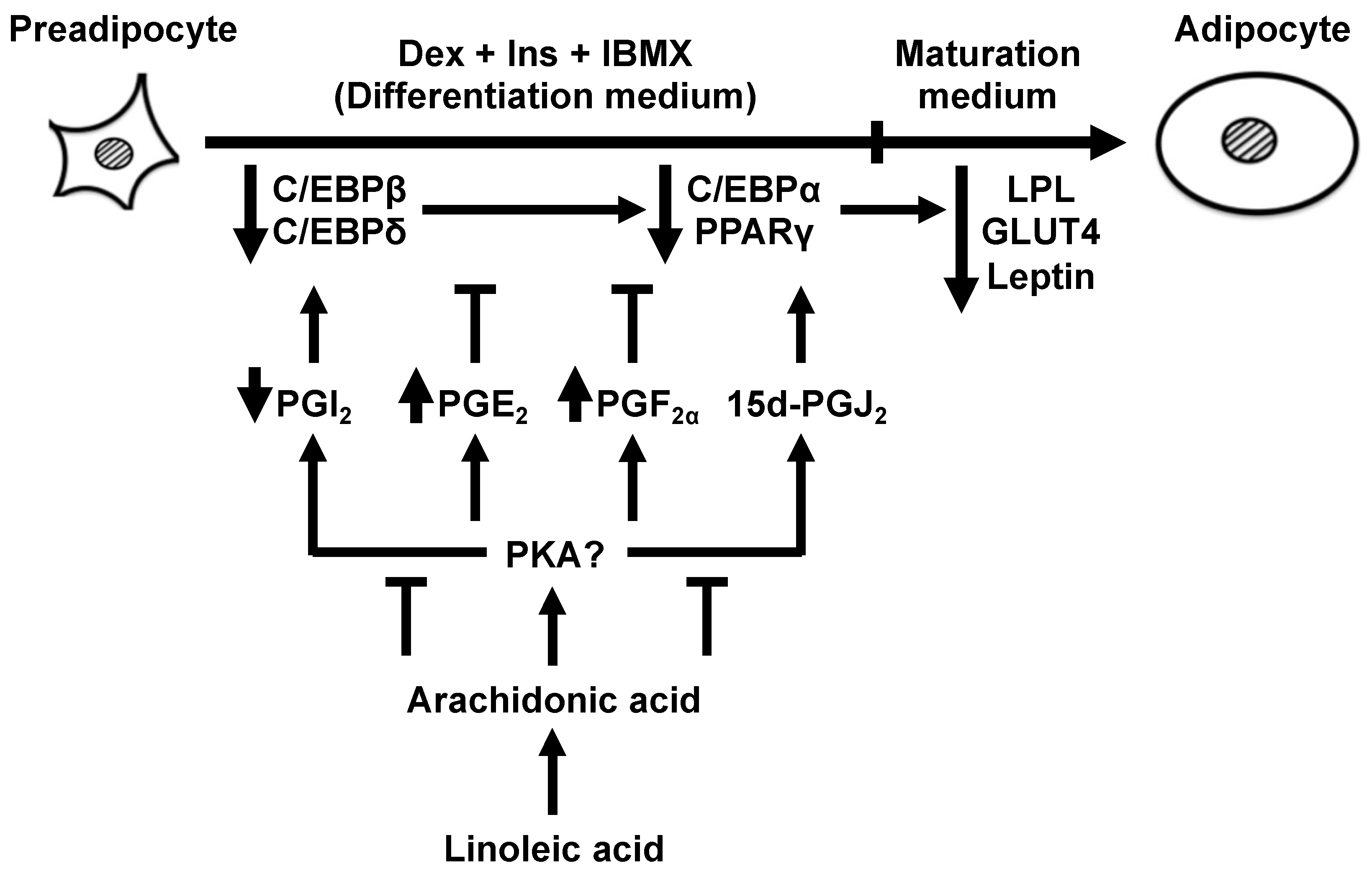 Life 13 00367 g008 Life 13 00367 g008