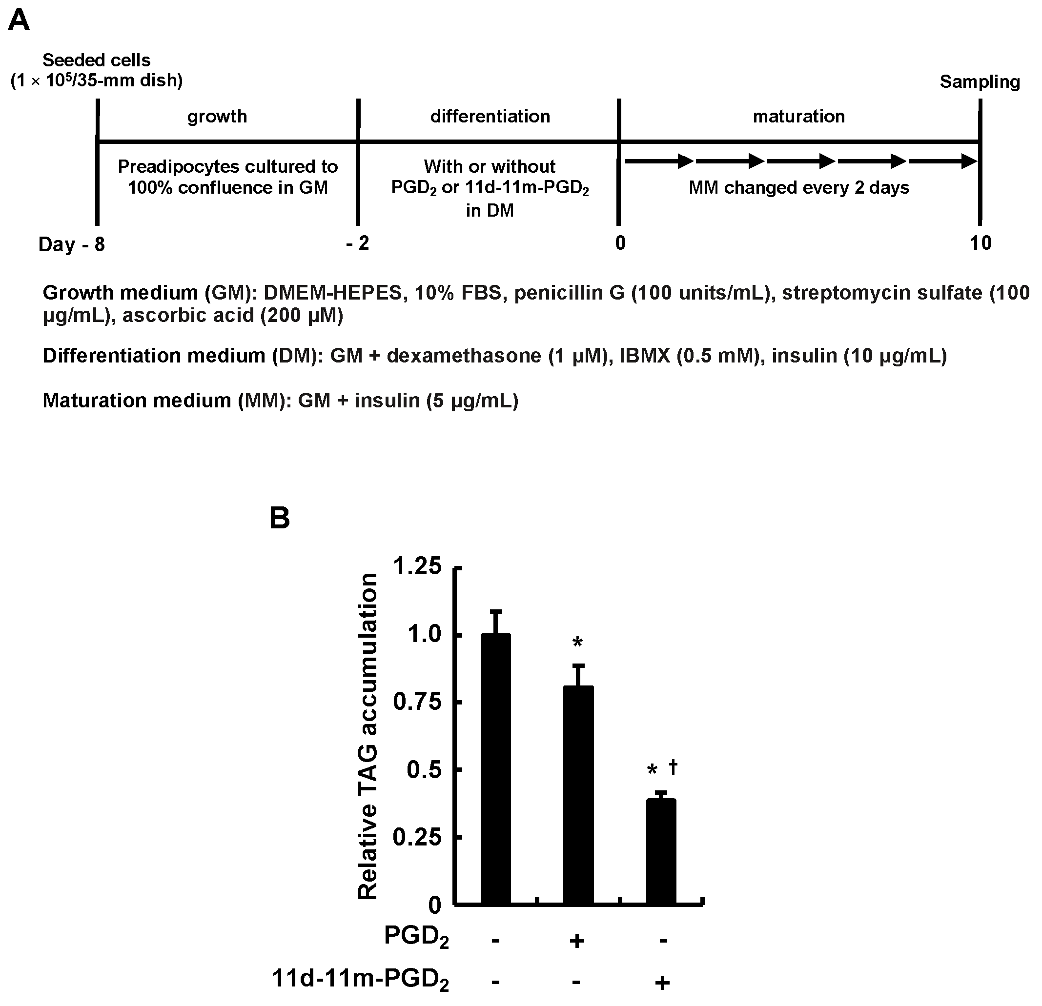 Life 13 00370 g001 Life 13 00370 g001