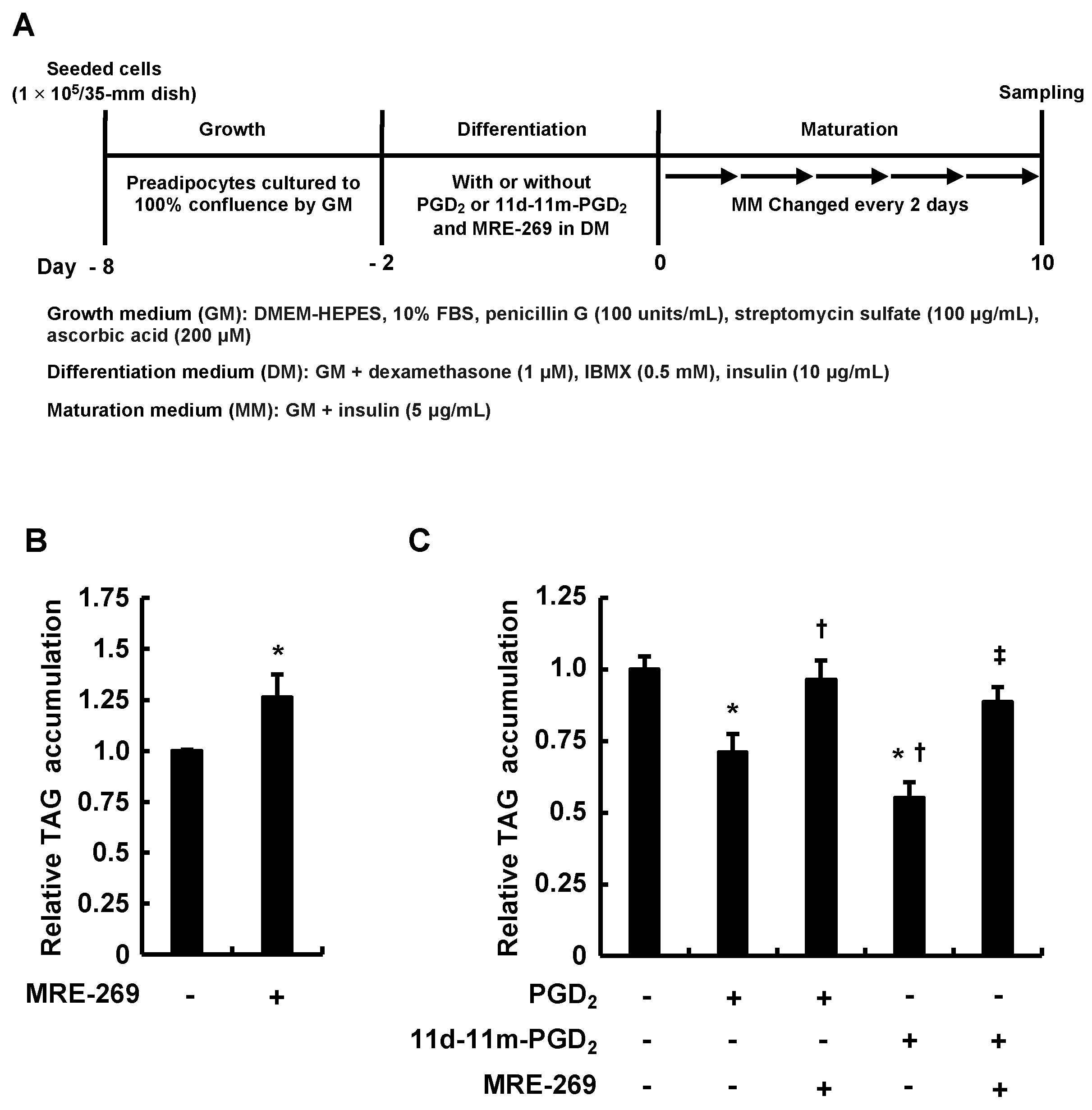 Life 13 00370 g003 Life 13 00370 g003
