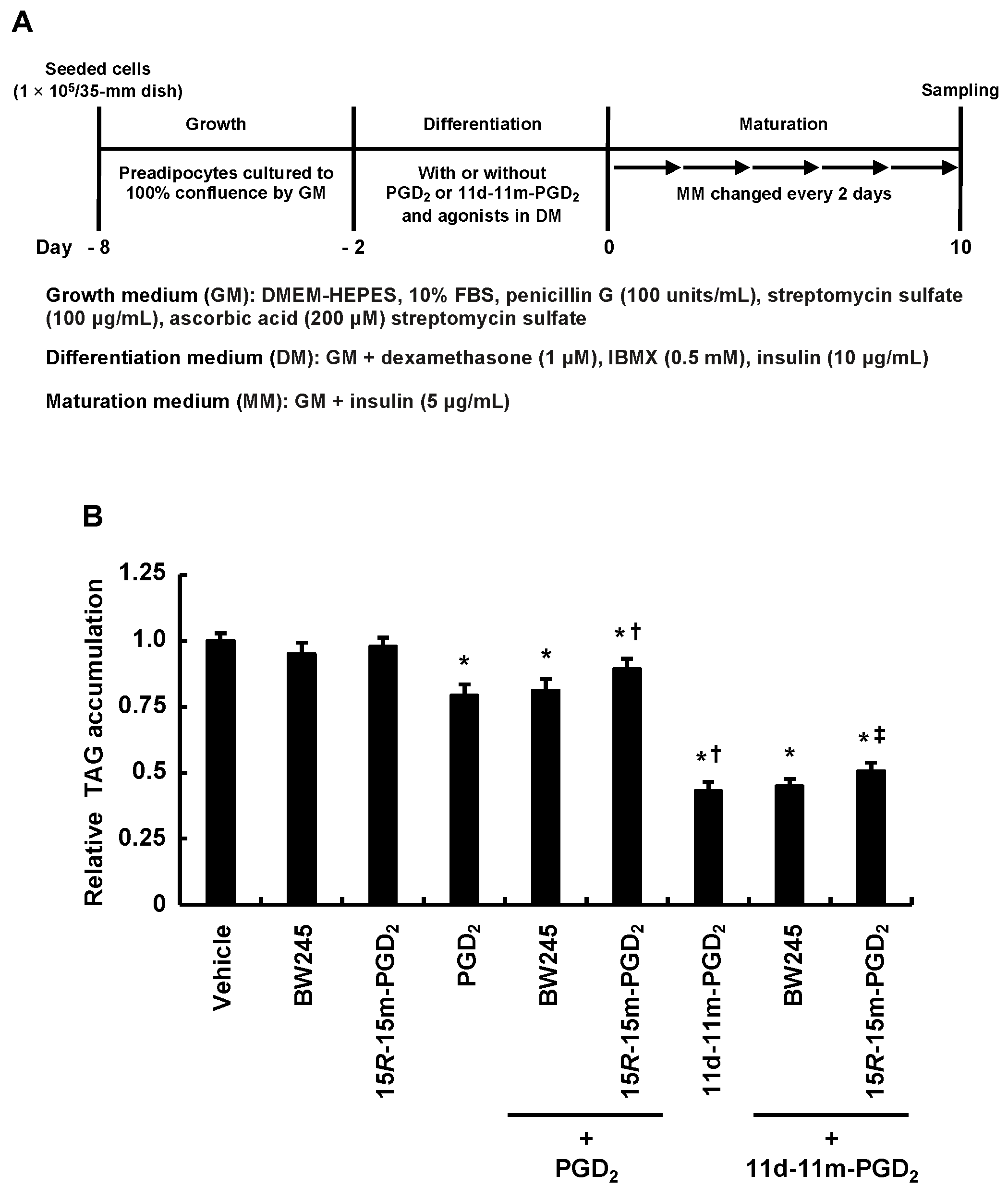 Life 13 00370 g004 Life 13 00370 g004