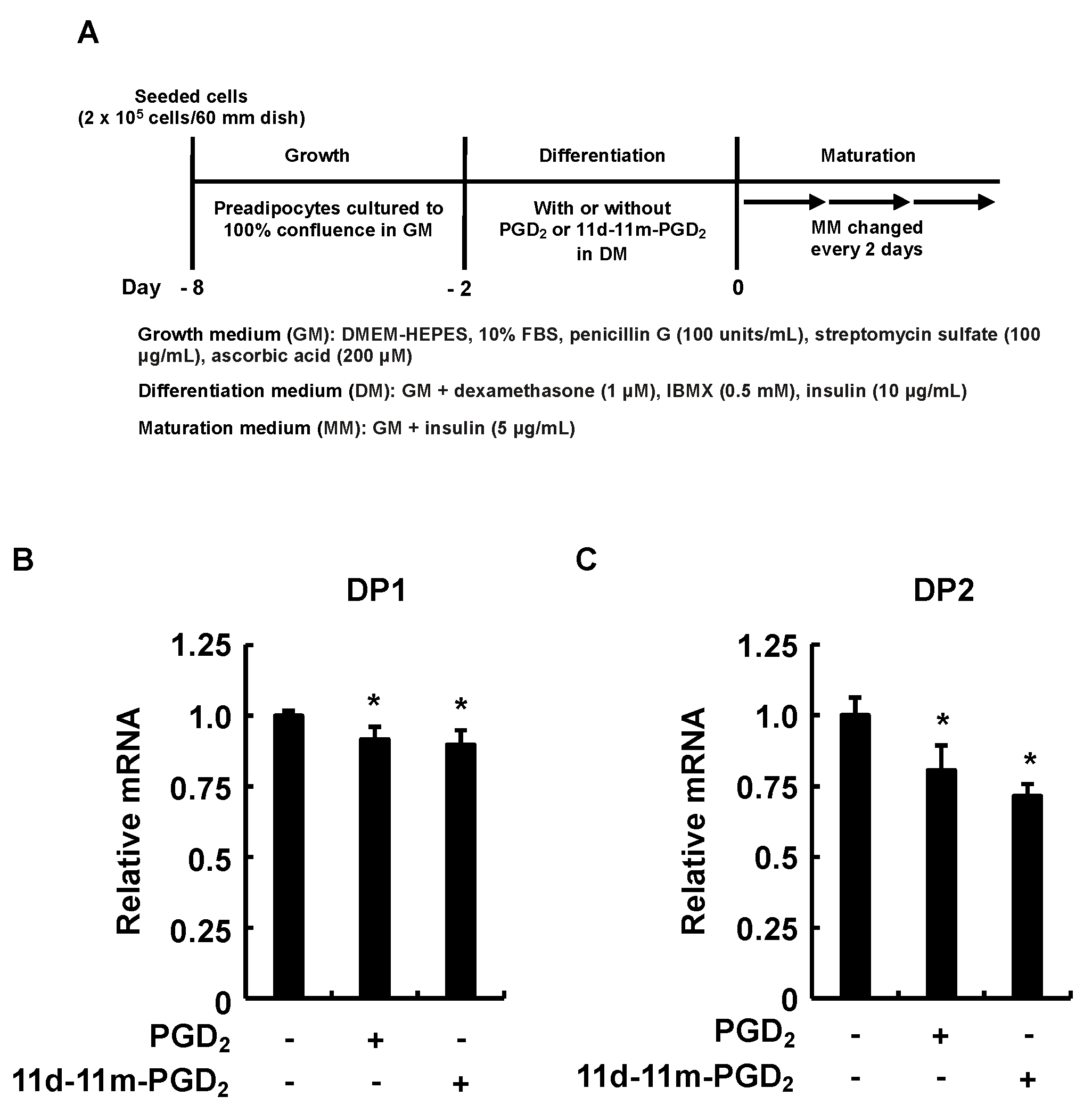Life 13 00370 g005 Life 13 00370 g005