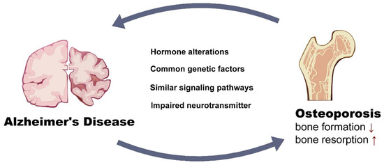 Alzheimer's Disease and Impaired Bone Microarchitecture Alzheimer's Disease and Impaired Bone Microarchitecture