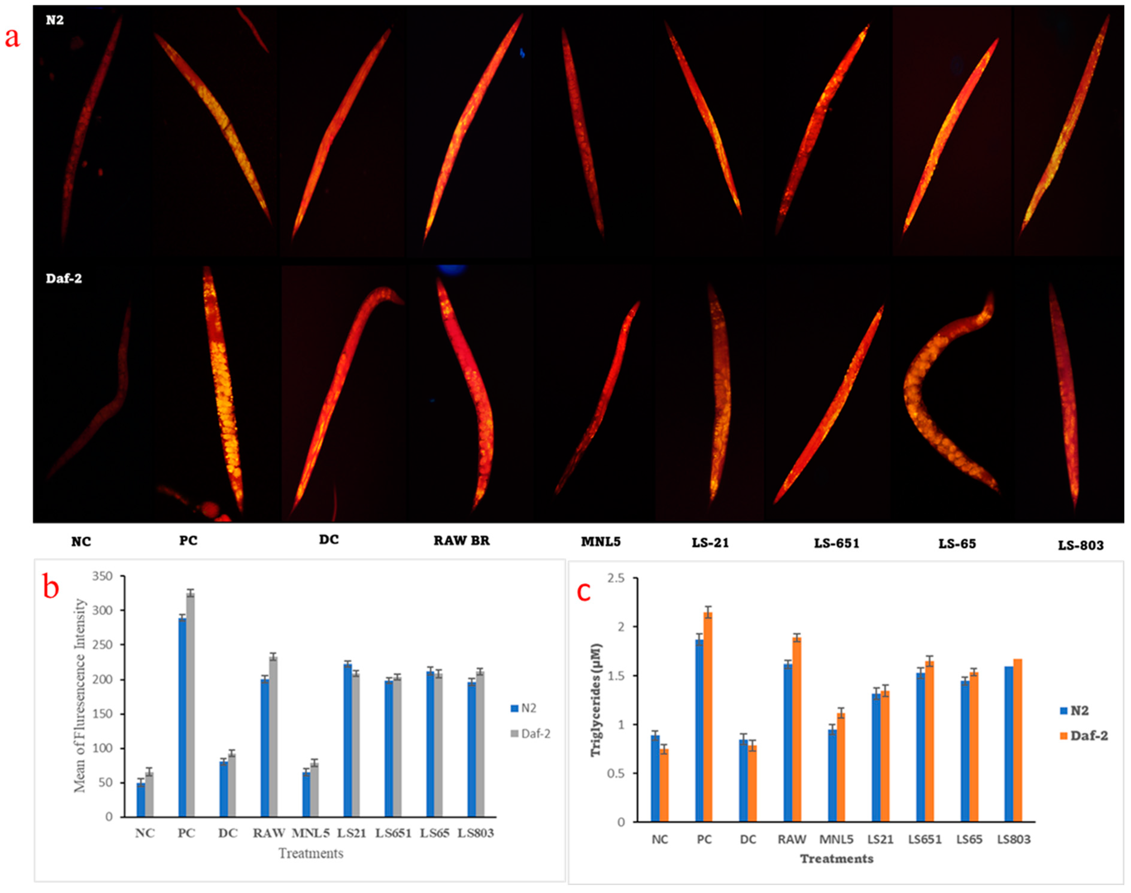 Life 13 00374 g004 Life 13 00374 g004
