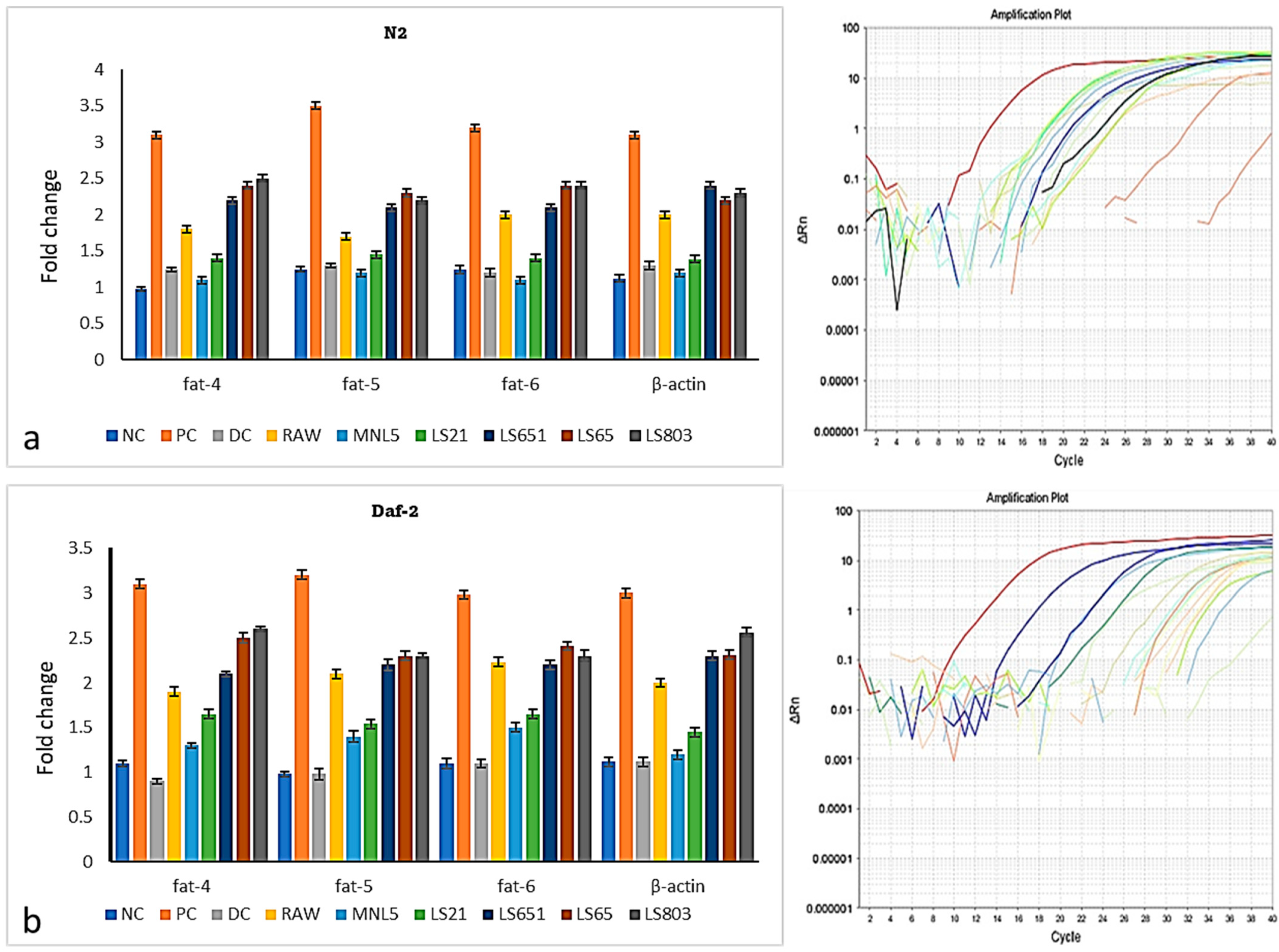 Life 13 00374 g005 Life 13 00374 g005