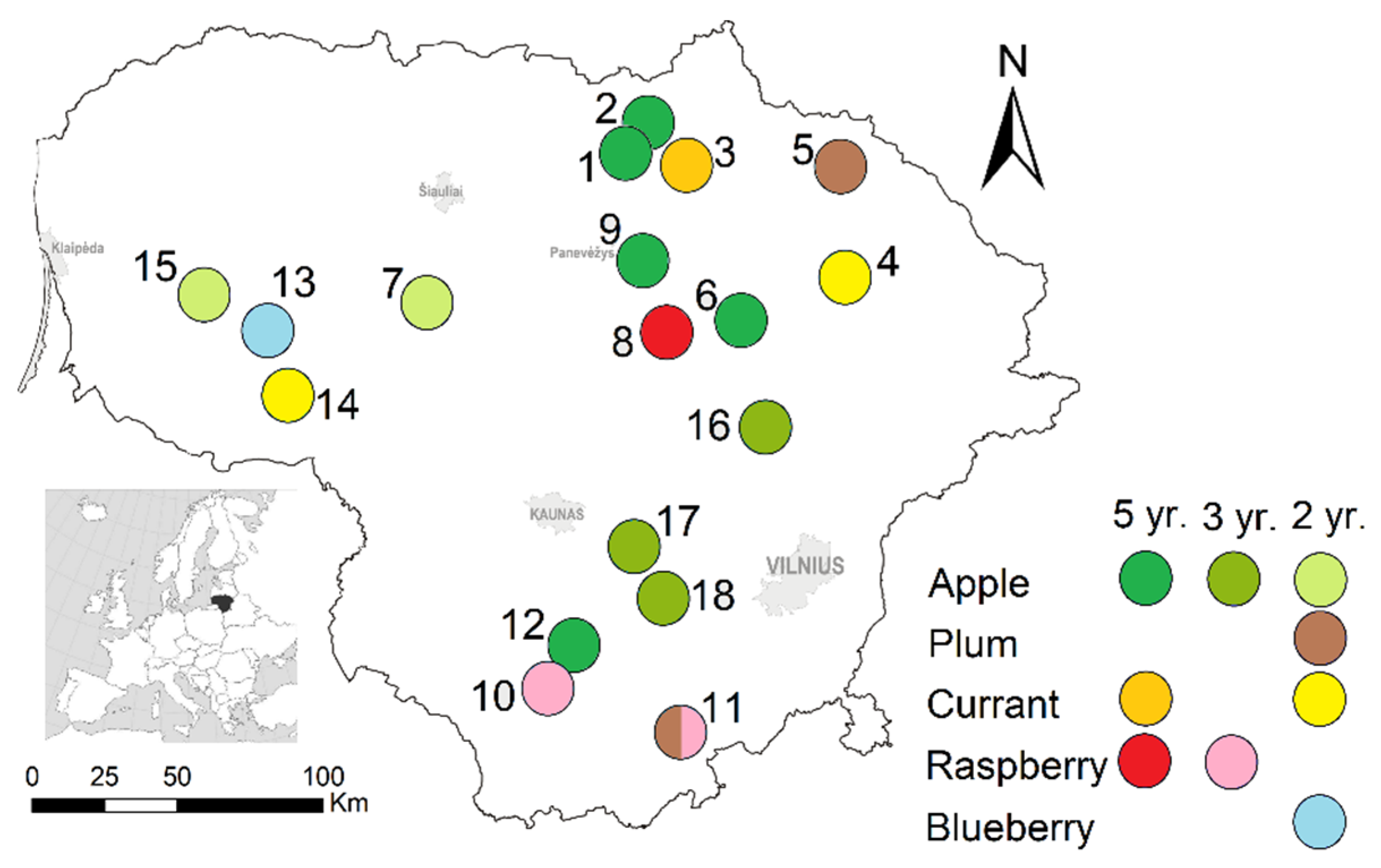 Life 13 00375 g001 Life 13 00375 g001