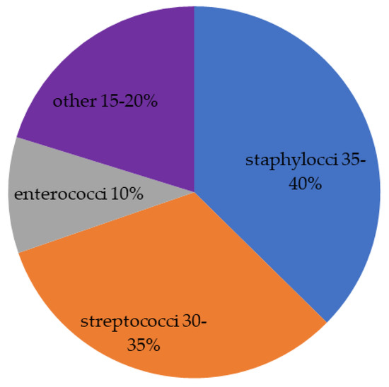 Life Free FullText Current Views on Infective Endocarditis
