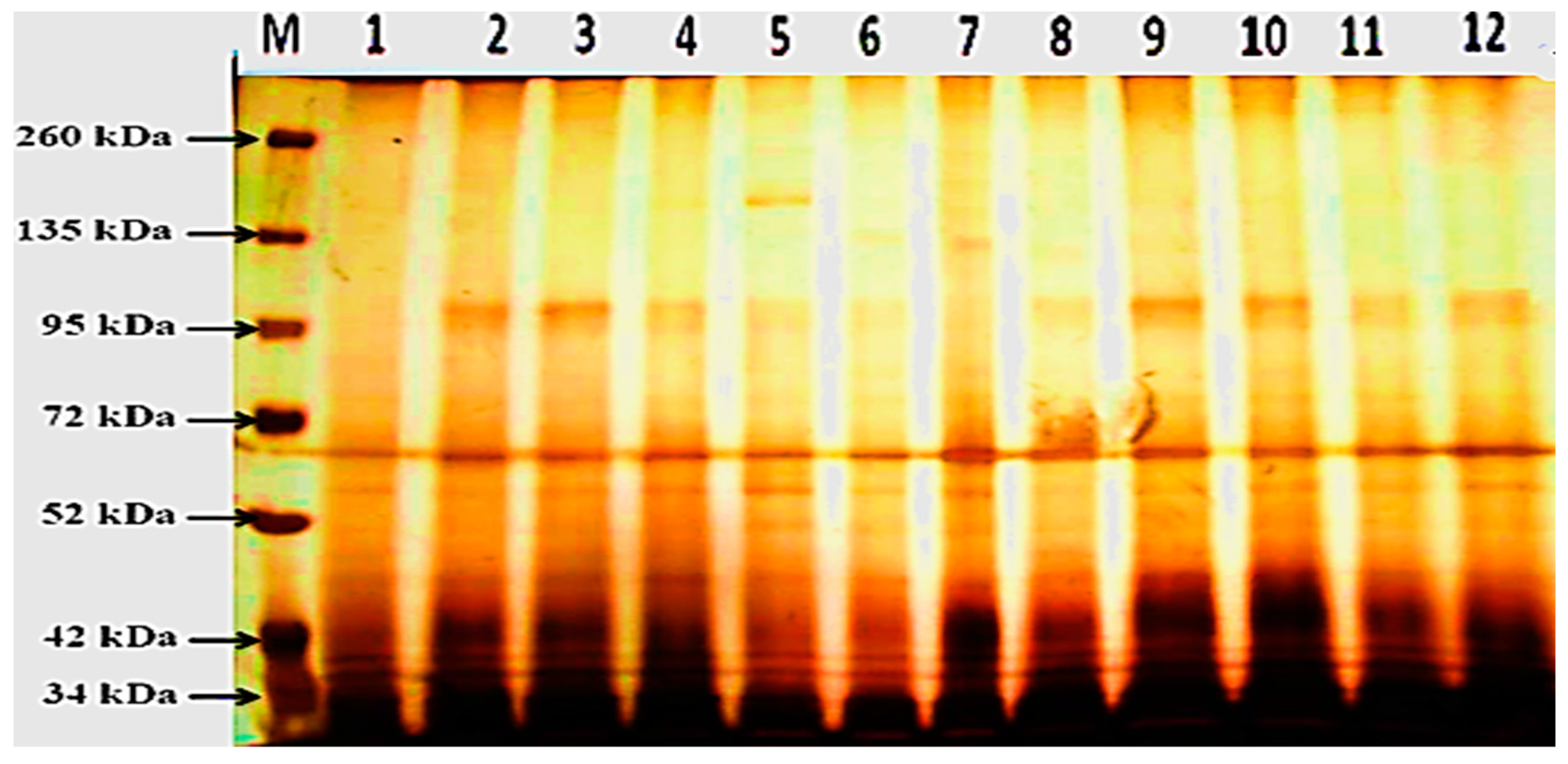 Life 13 00392 g007 Life 13 00392 g007