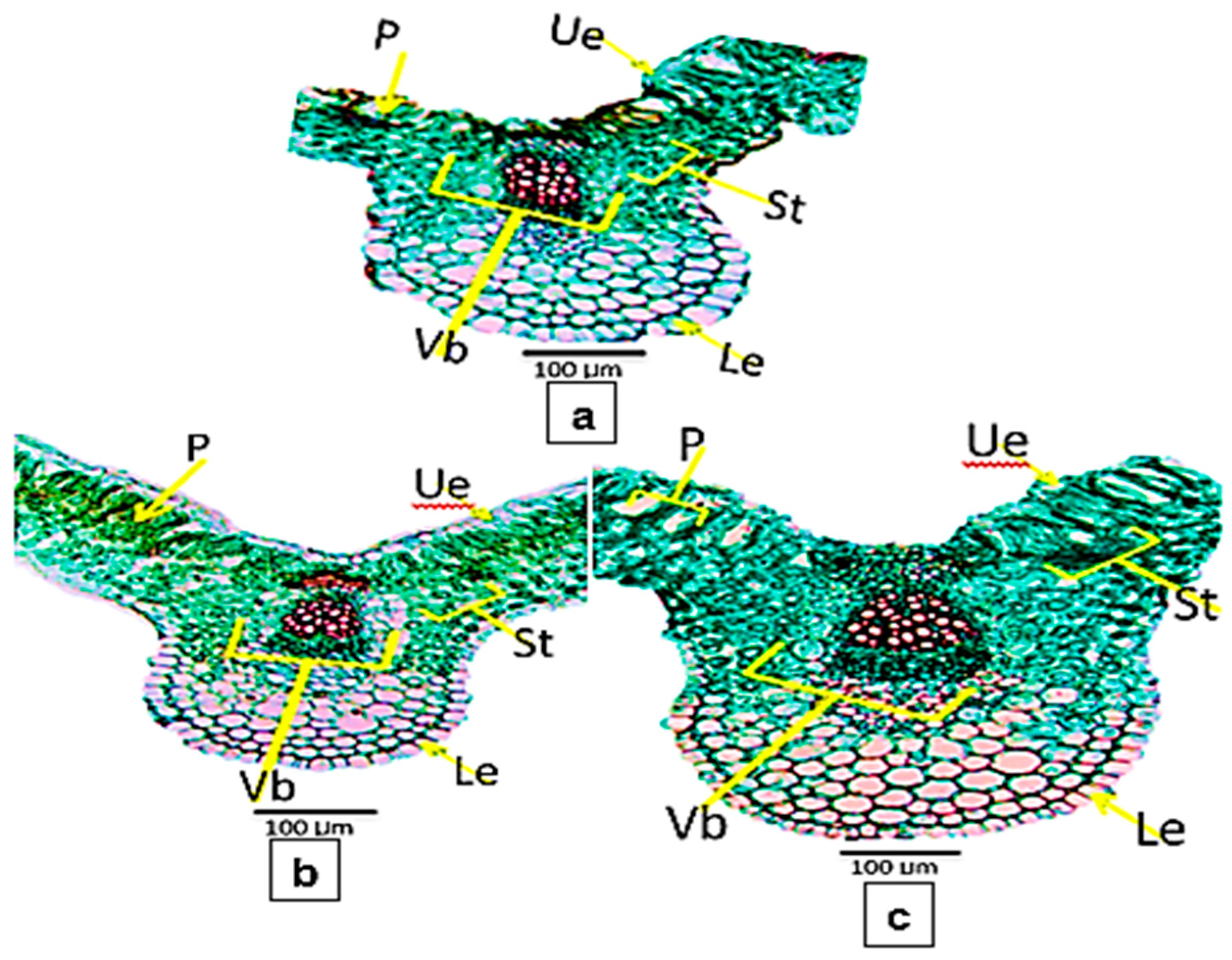 Life 13 00392 g009 Life 13 00392 g009