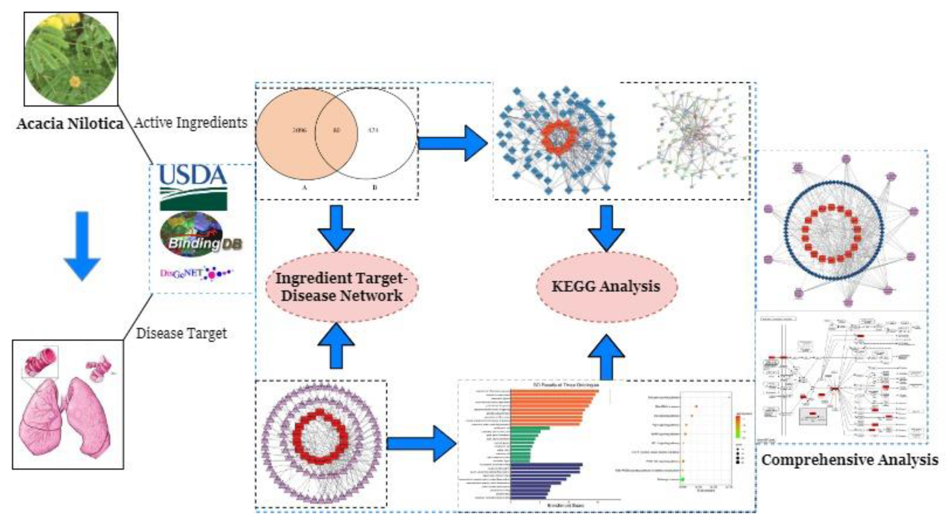 Life 13 00411 g001 550