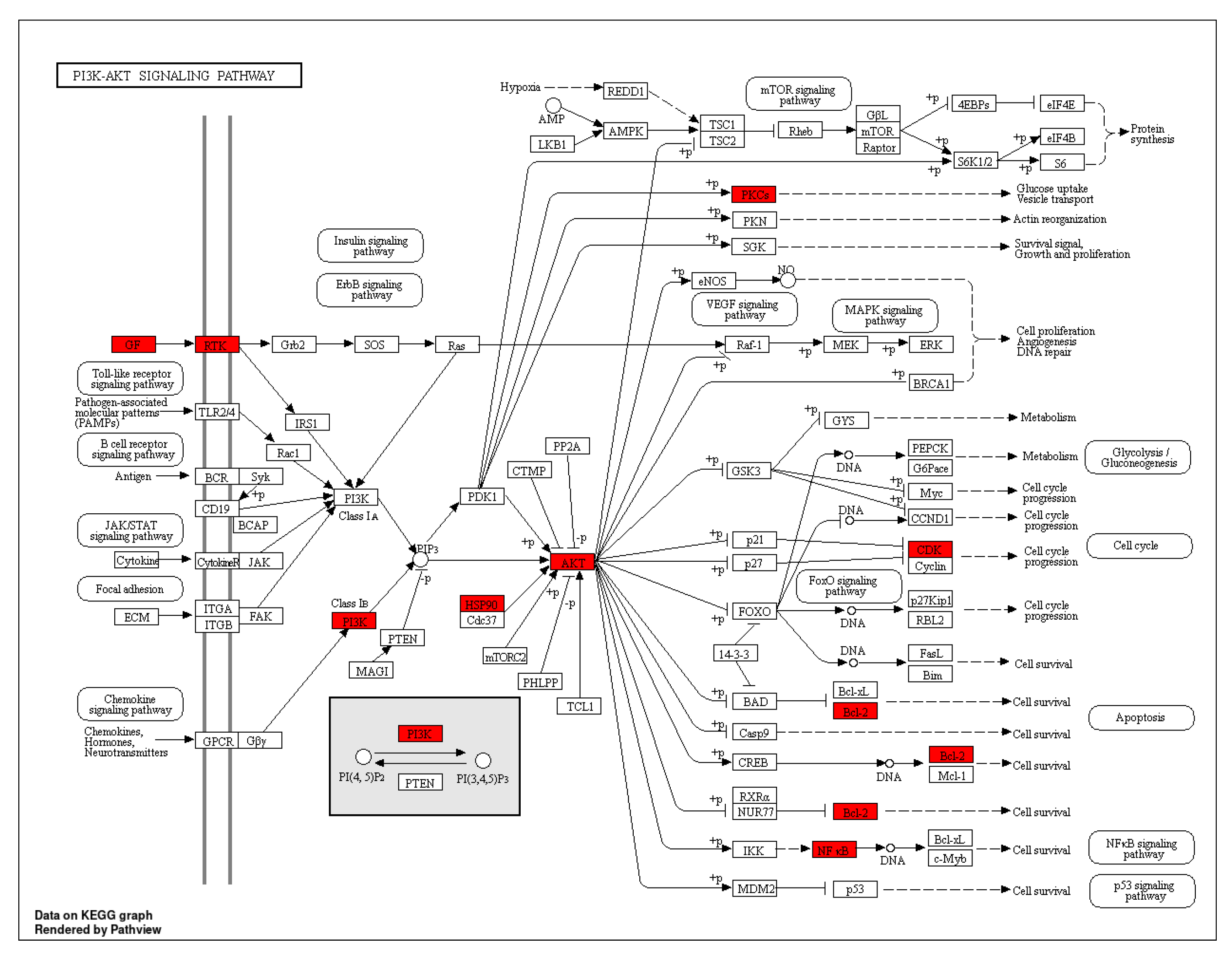 Life 13 00411 g007 550