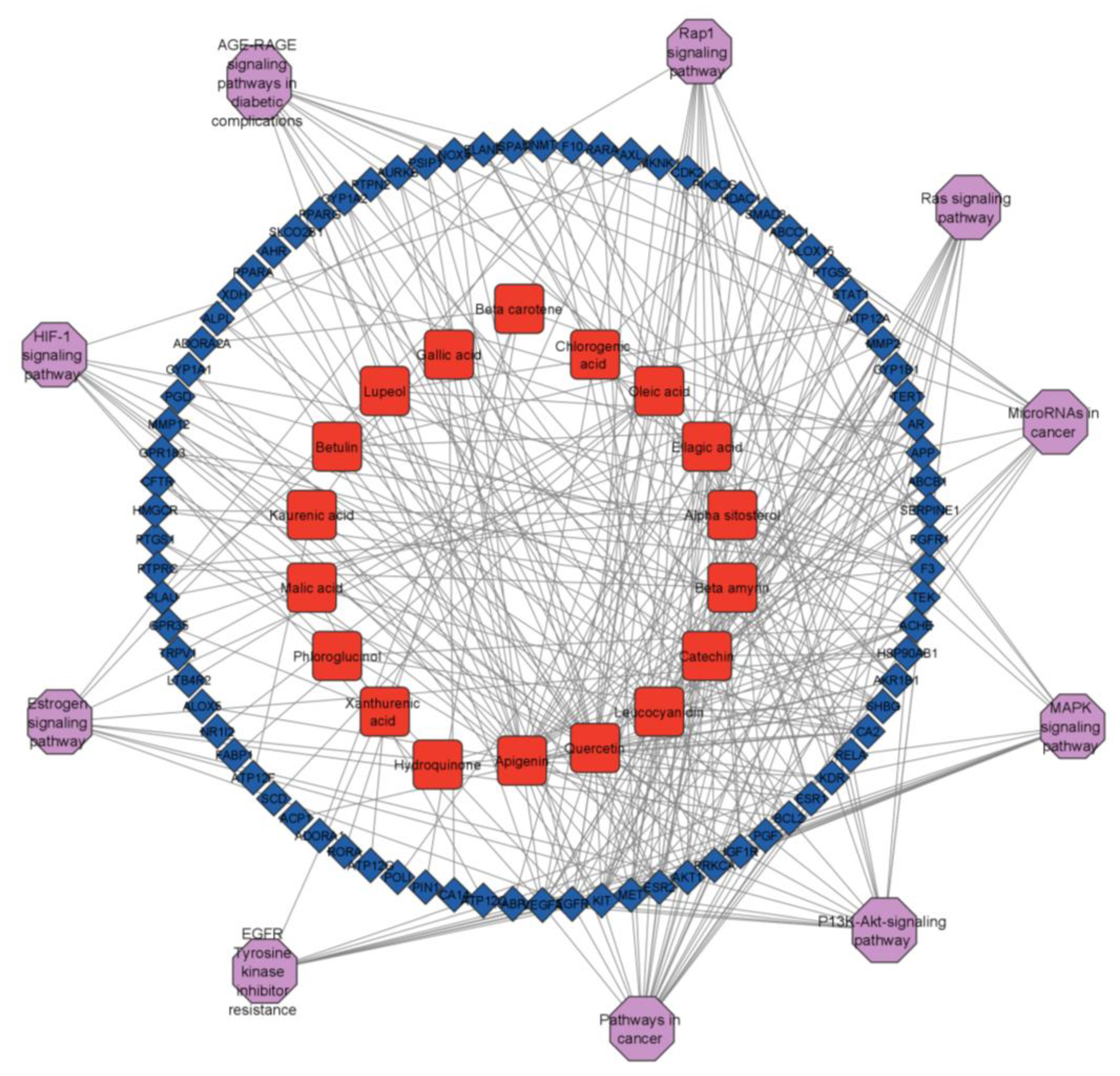 Life 13 00411 g008 550